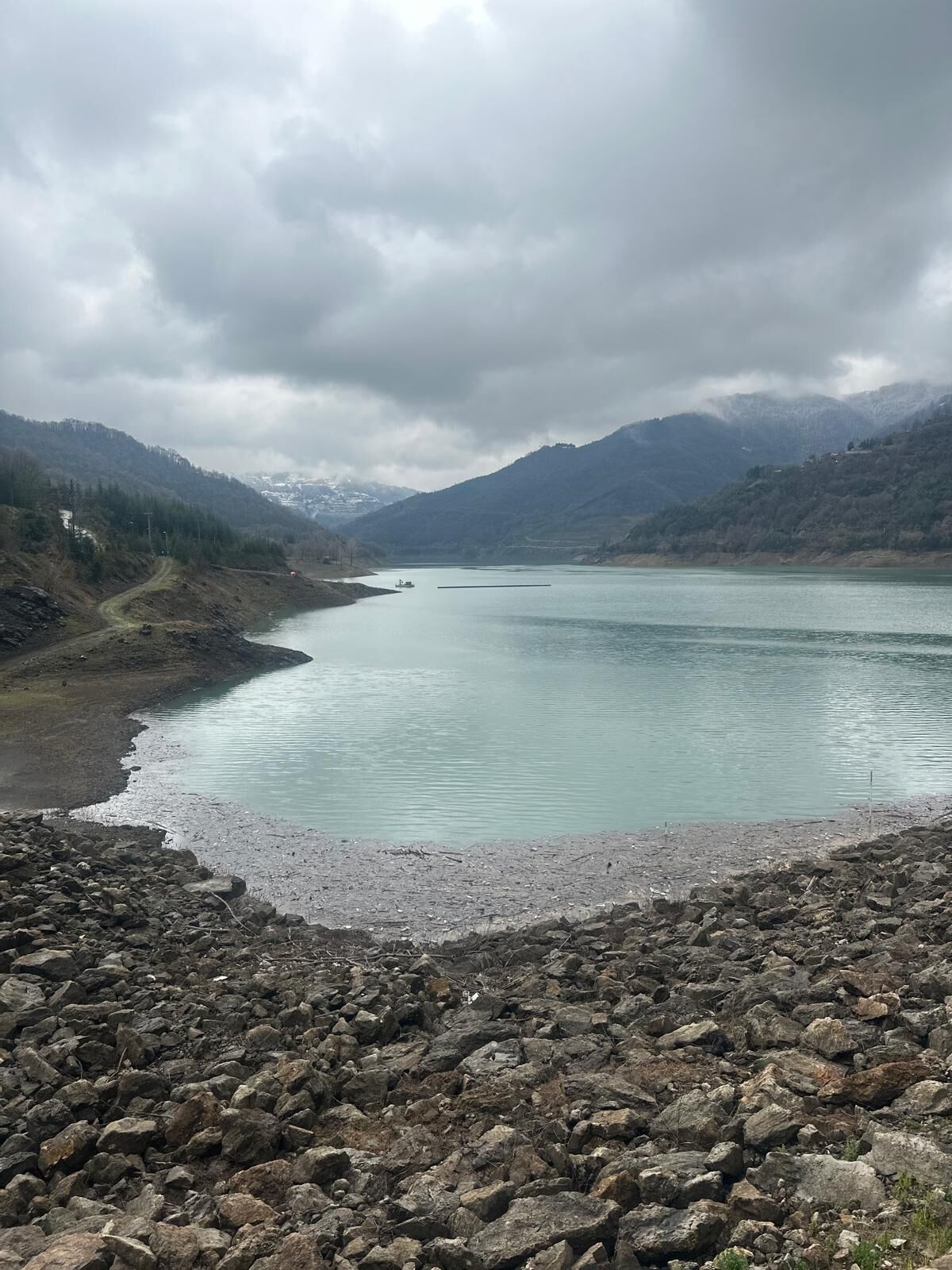 D18069C3 15B8 4937 9774 1420D2589Cc6