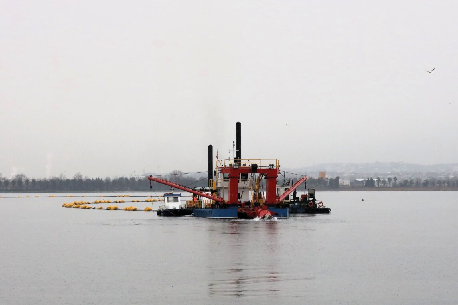 Körfezdeki Dev Temizlik Dünya Gündeminde (9)