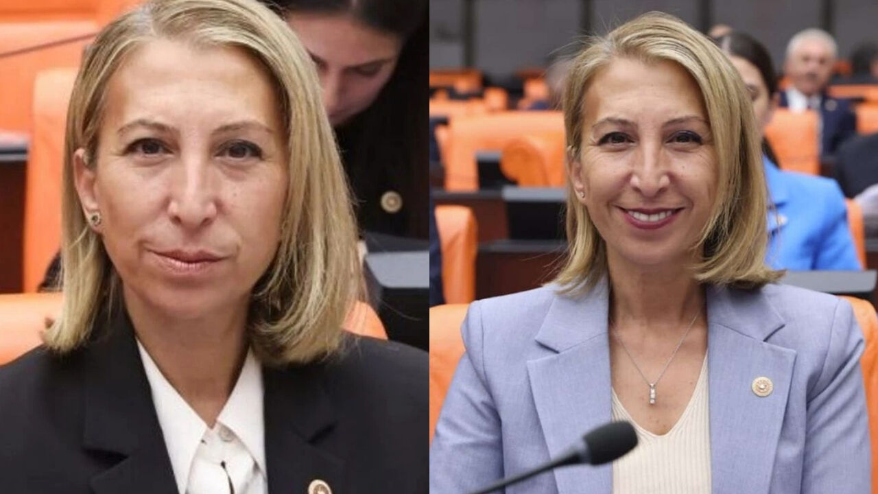 Sureyya Ones Derici Kimdir