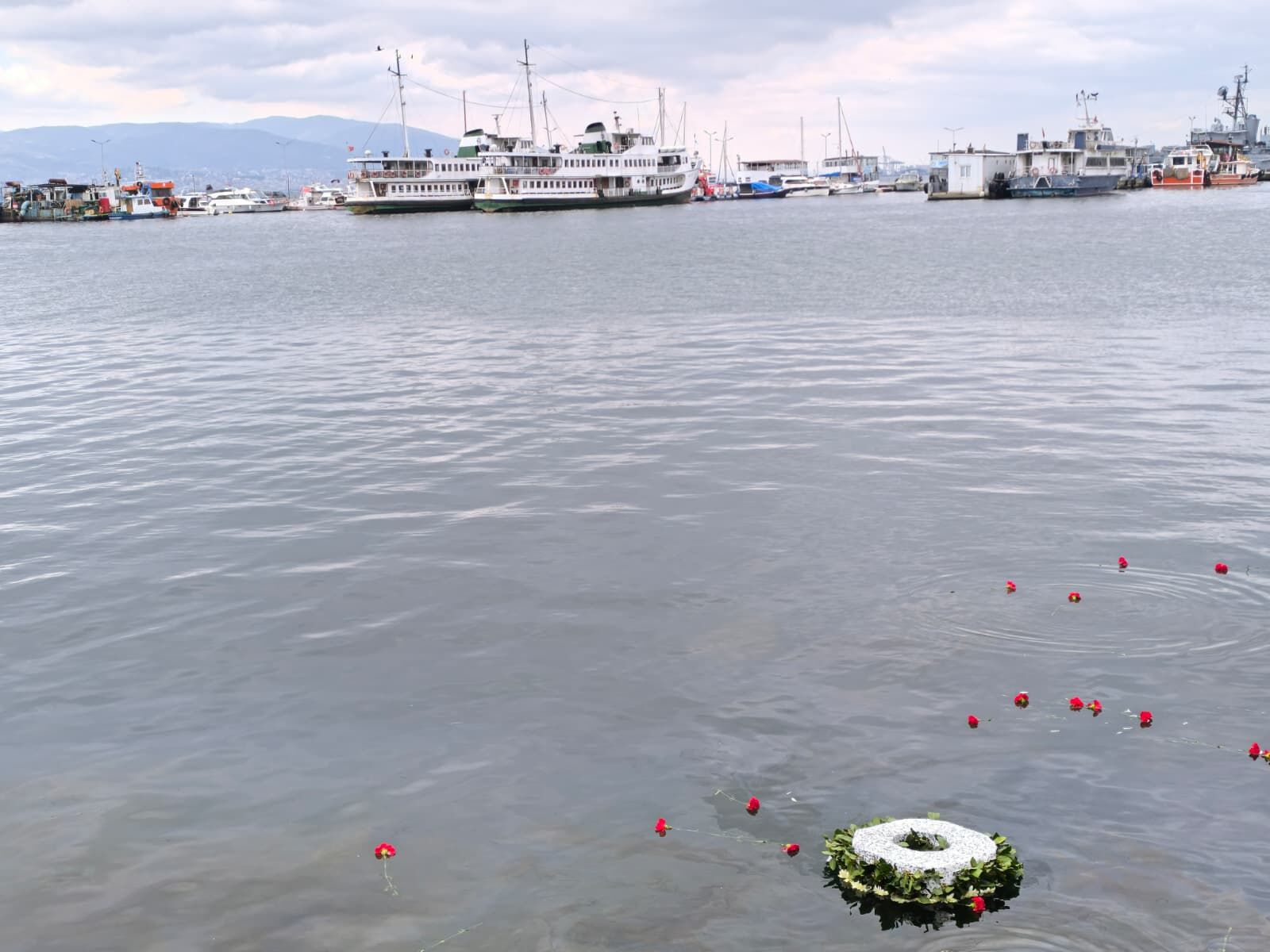 Whatsapp Image 2026 03 01 At 13.05.16