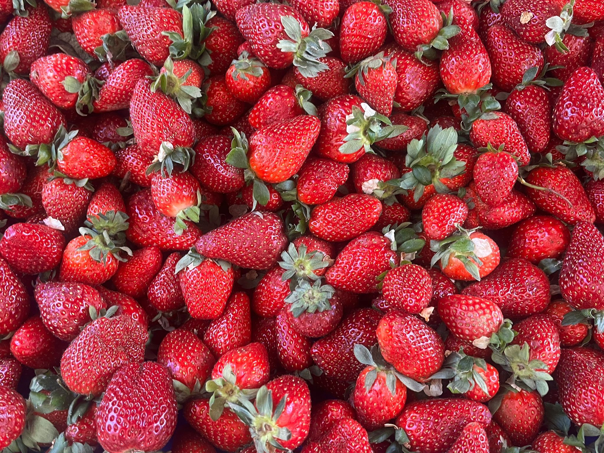 Whatsapp Image 2026 03 08 At 13.57.27