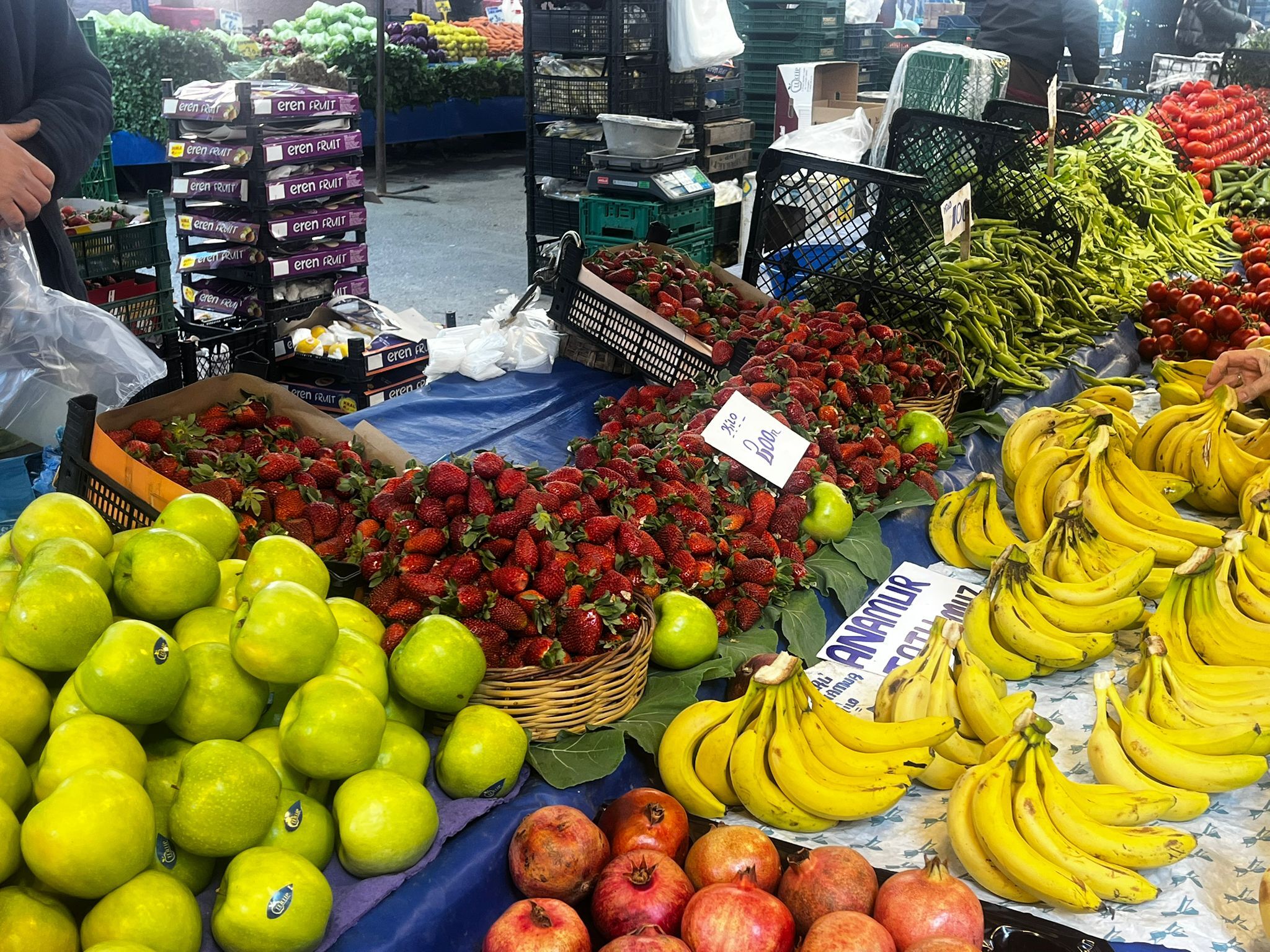 Whatsapp Image 2026 03 08 At 13.57.28 (3)