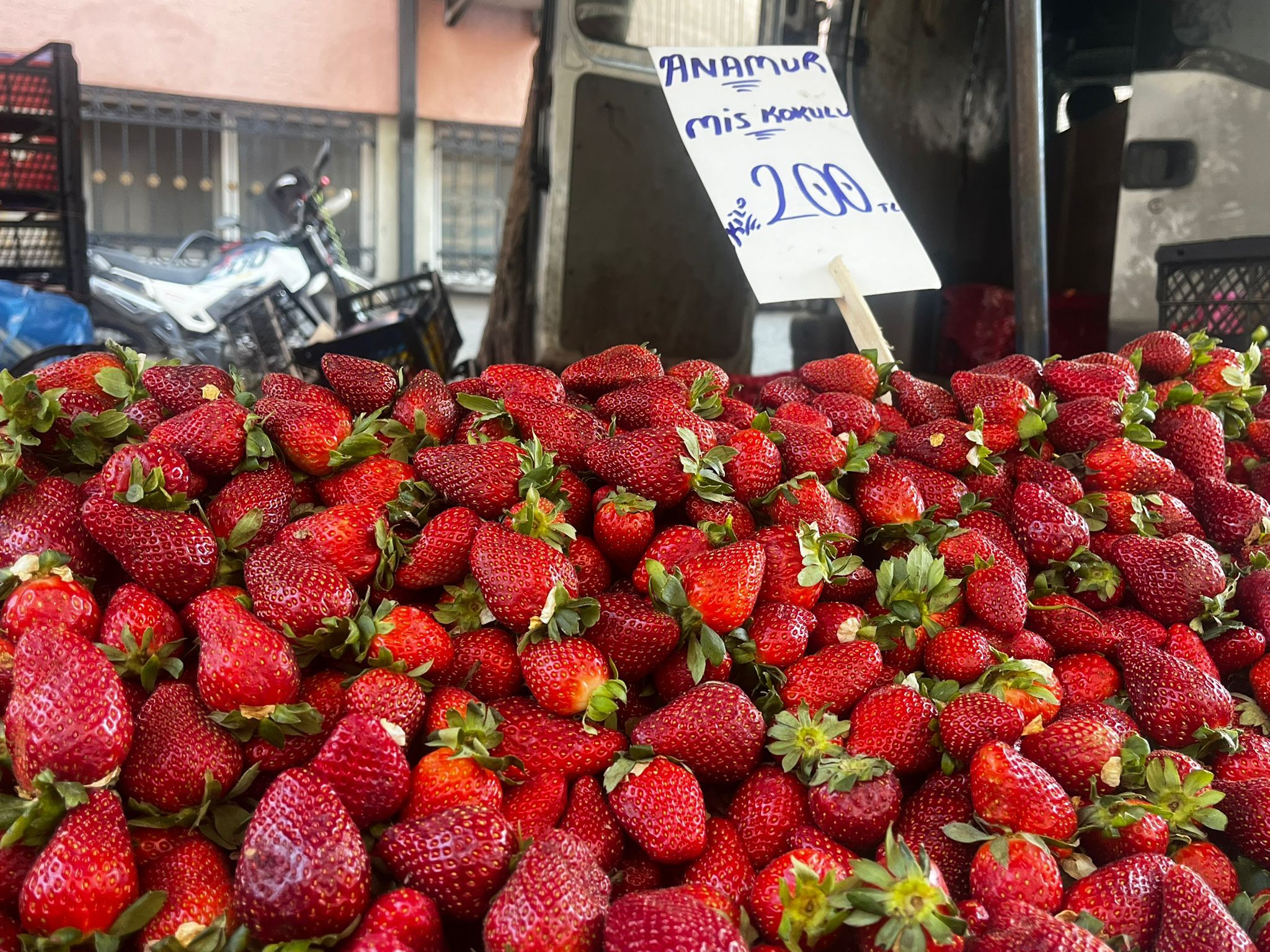 Whatsapp Image 2026 03 08 At 13.57.29 (1)