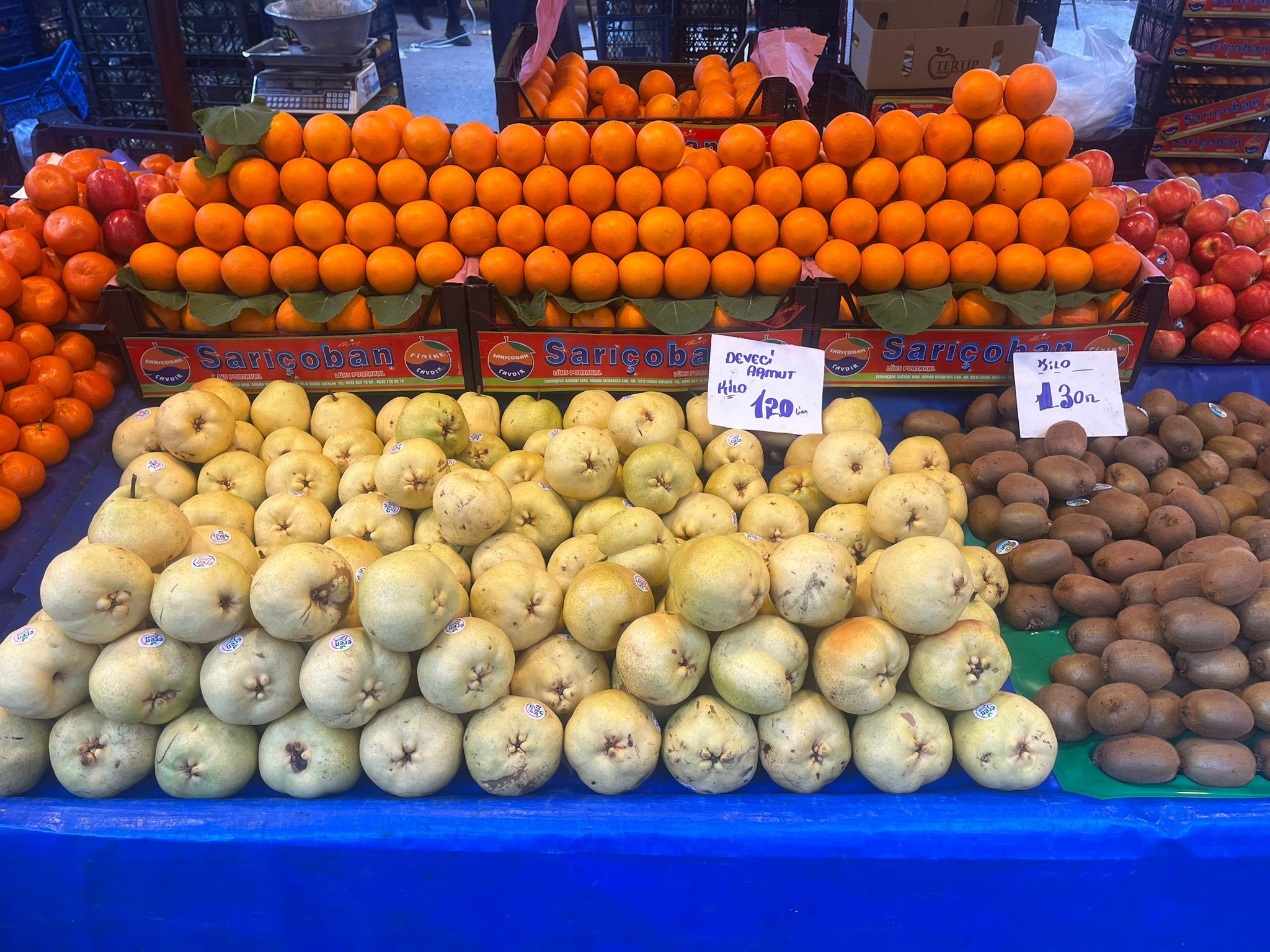 Whatsapp Image 2026 03 08 At 13.57.29