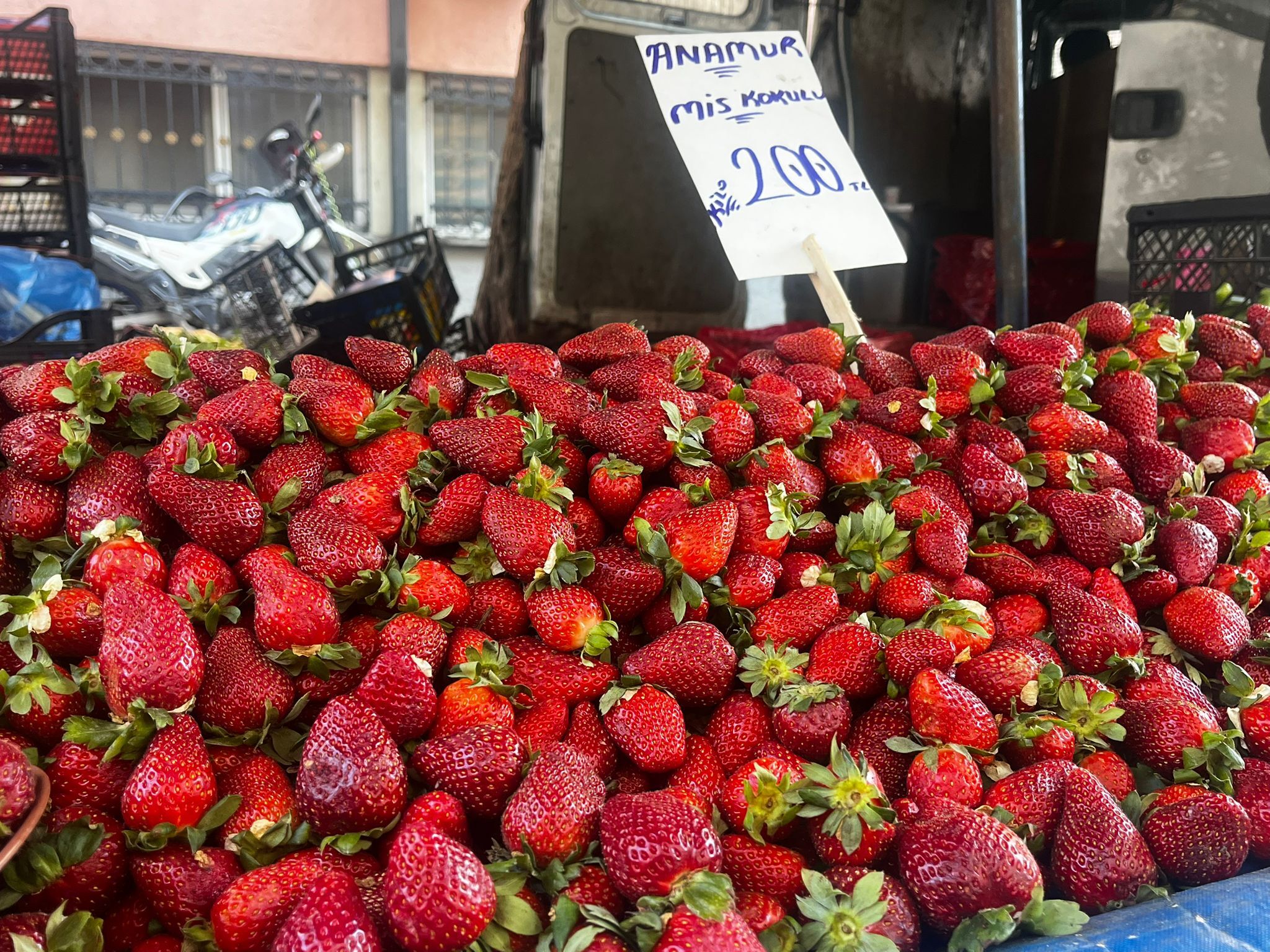 Whatsapp Image 2026 03 08 At 13.57.30