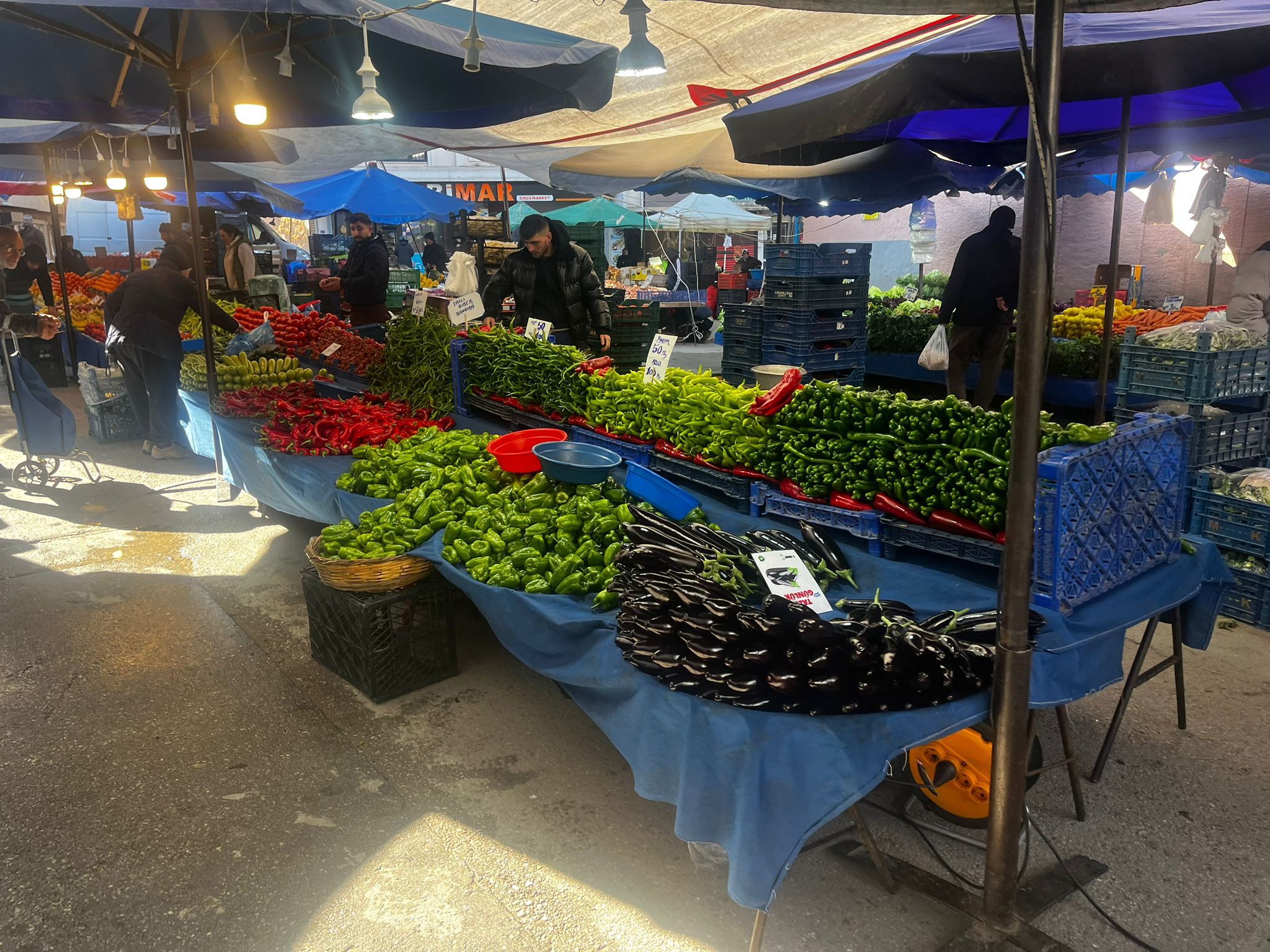 Whatsapp Image 2026 03 08 At 13.57.31