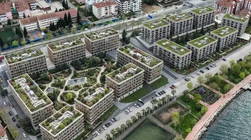 Whatsapp Image 2026 03 09 At 14.07.06