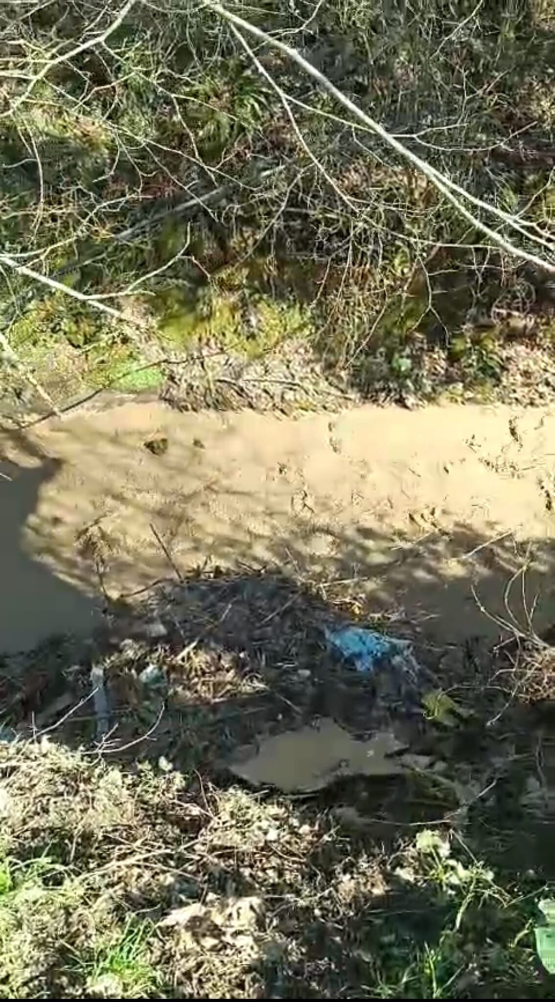 Whatsapp Image 2026 03 09 At Ös 5.27.10 (1)