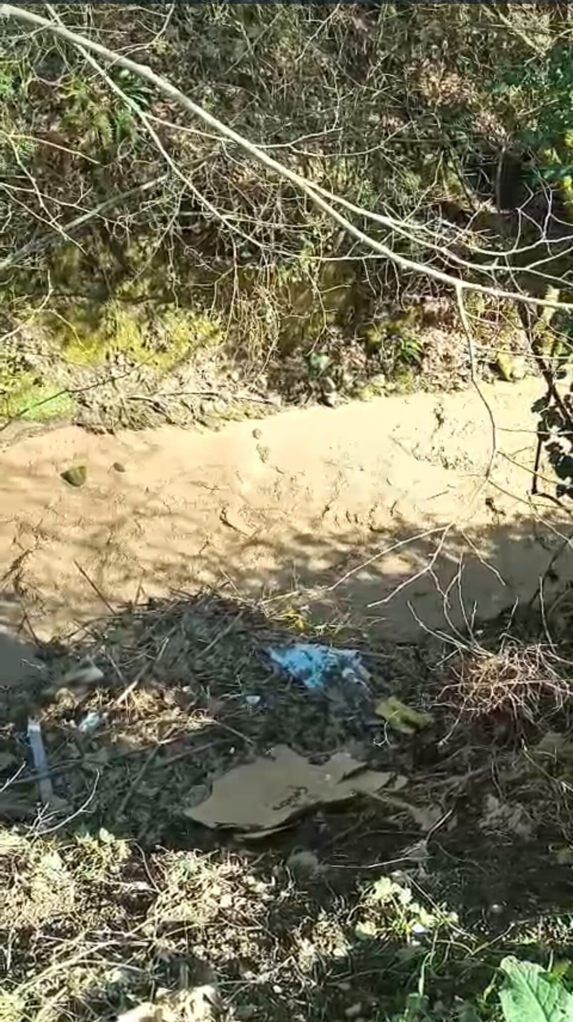 Whatsapp Image 2026 03 09 At Ös 5.27.10