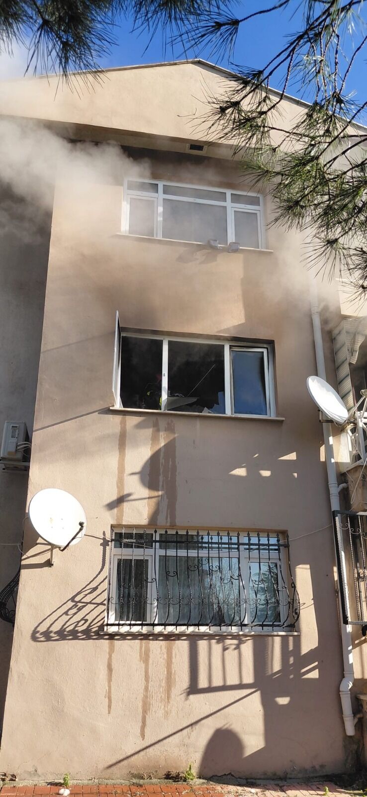 Whatsapp Image 2026 03 10 At 12.35.52 (1)