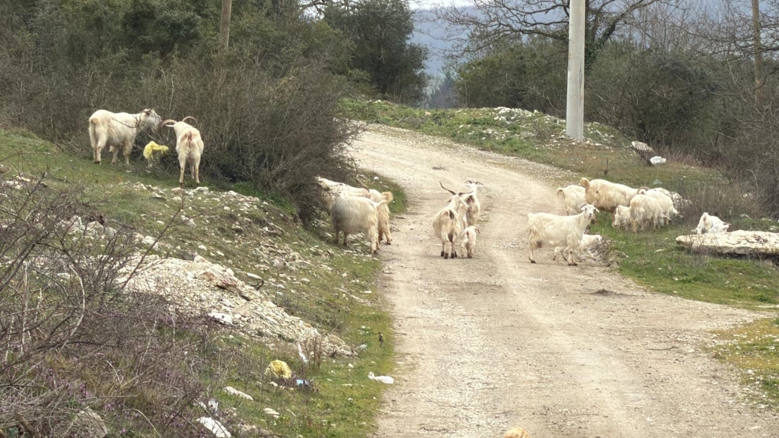 Whatsapp Image 2026 03 12 At 13.28.42