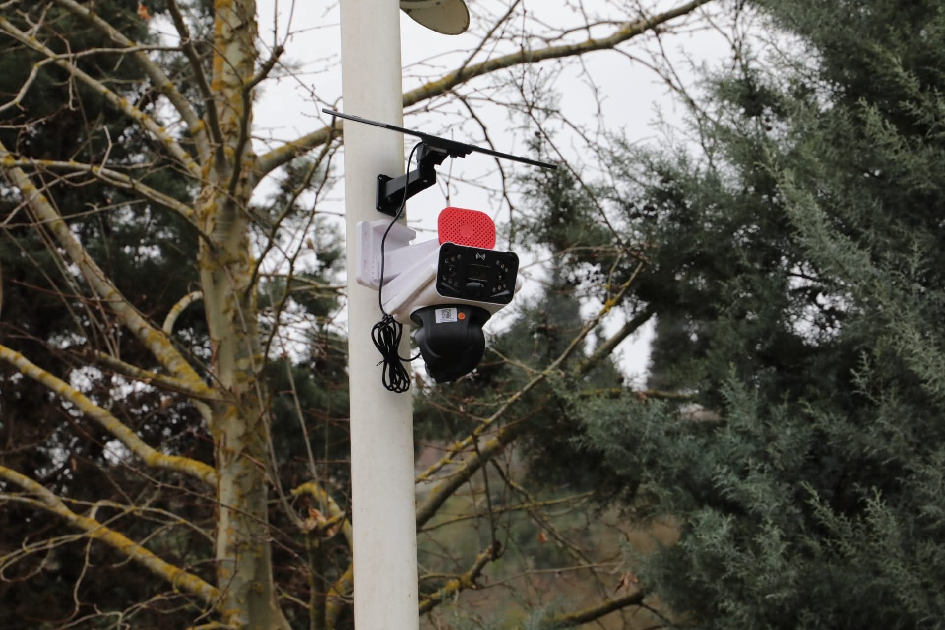 Whatsapp Image 2026 03 12 At Ös 5.44.29 (1)