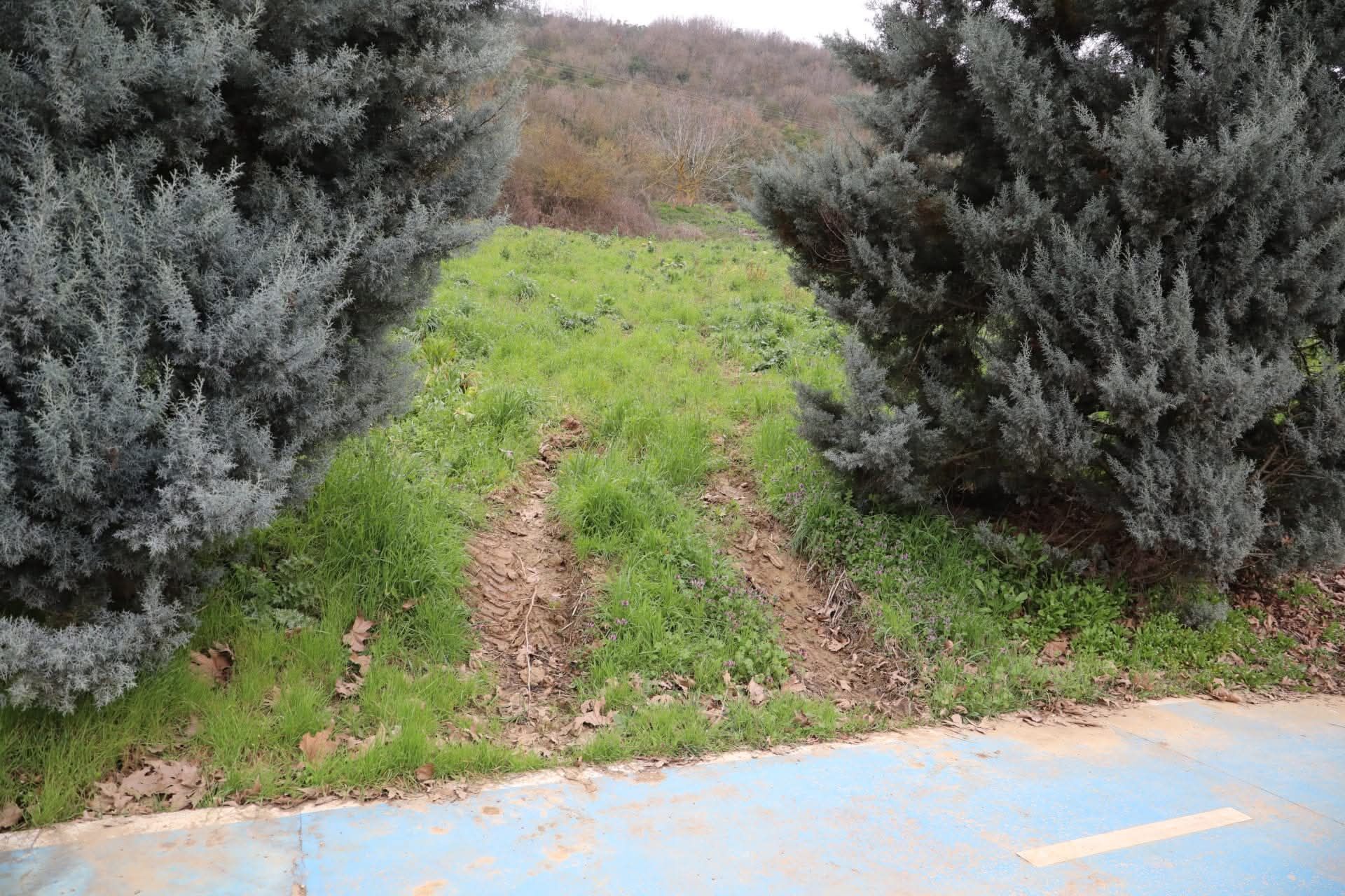 Whatsapp Image 2026 03 12 At Ös 5.44.29