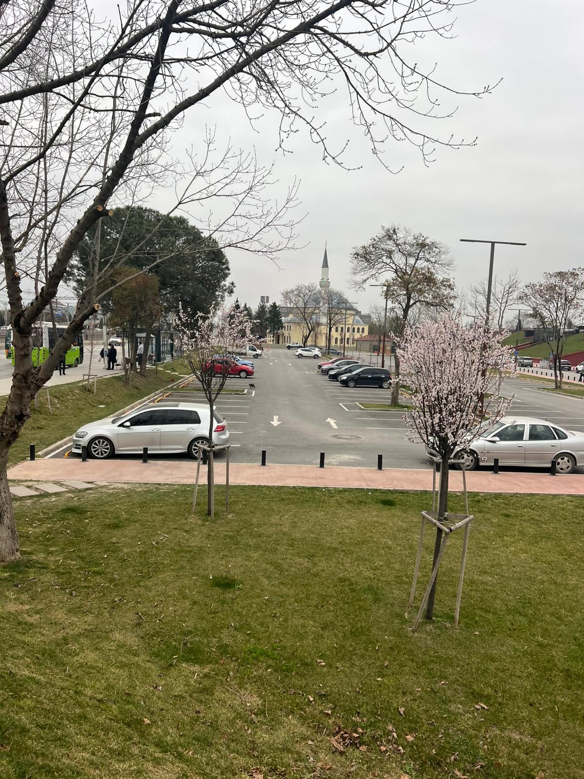 Whatsapp Image 2026 03 13 At 08.44.08 (1)