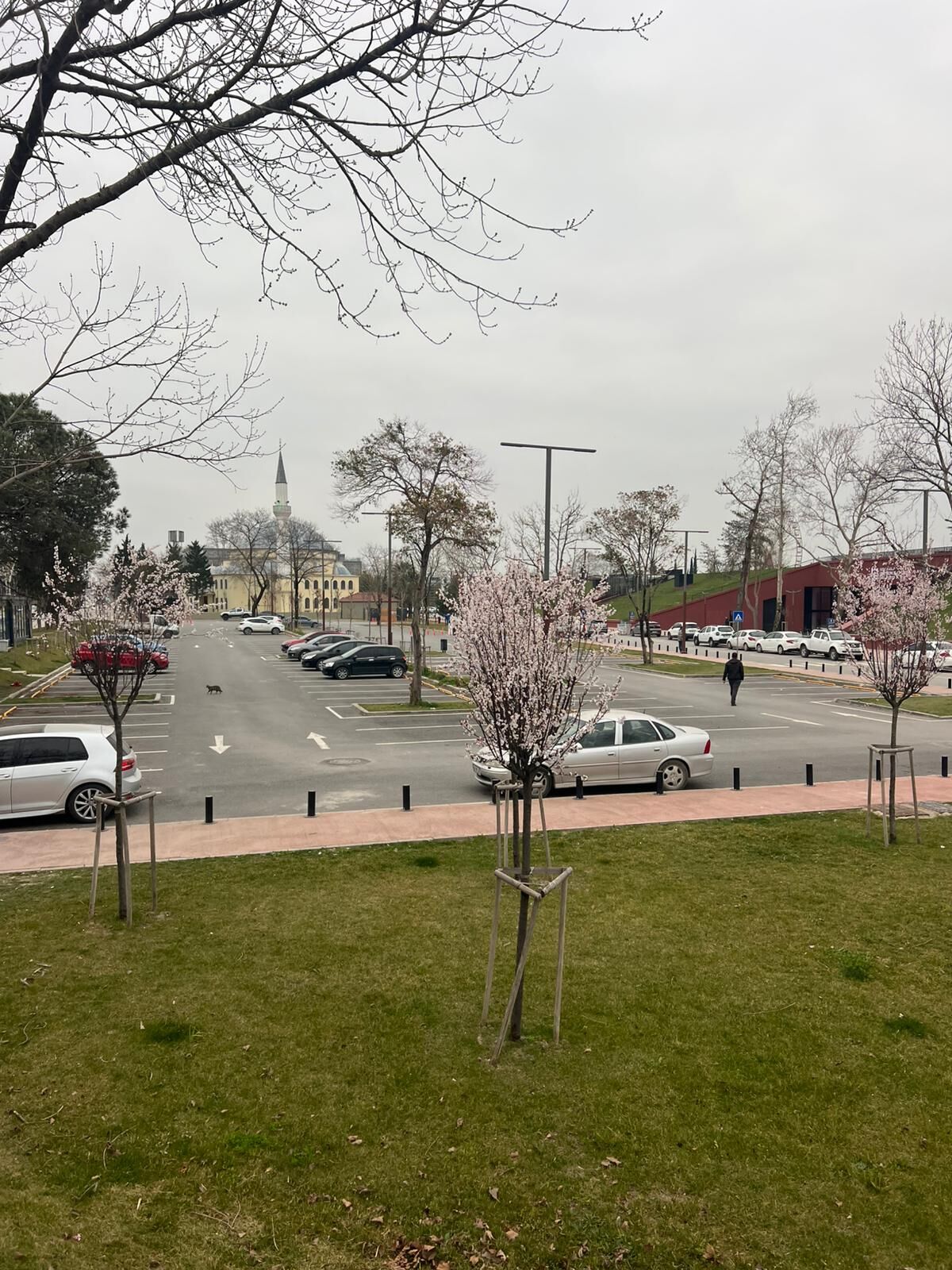 Whatsapp Image 2026 03 13 At 08.44.08