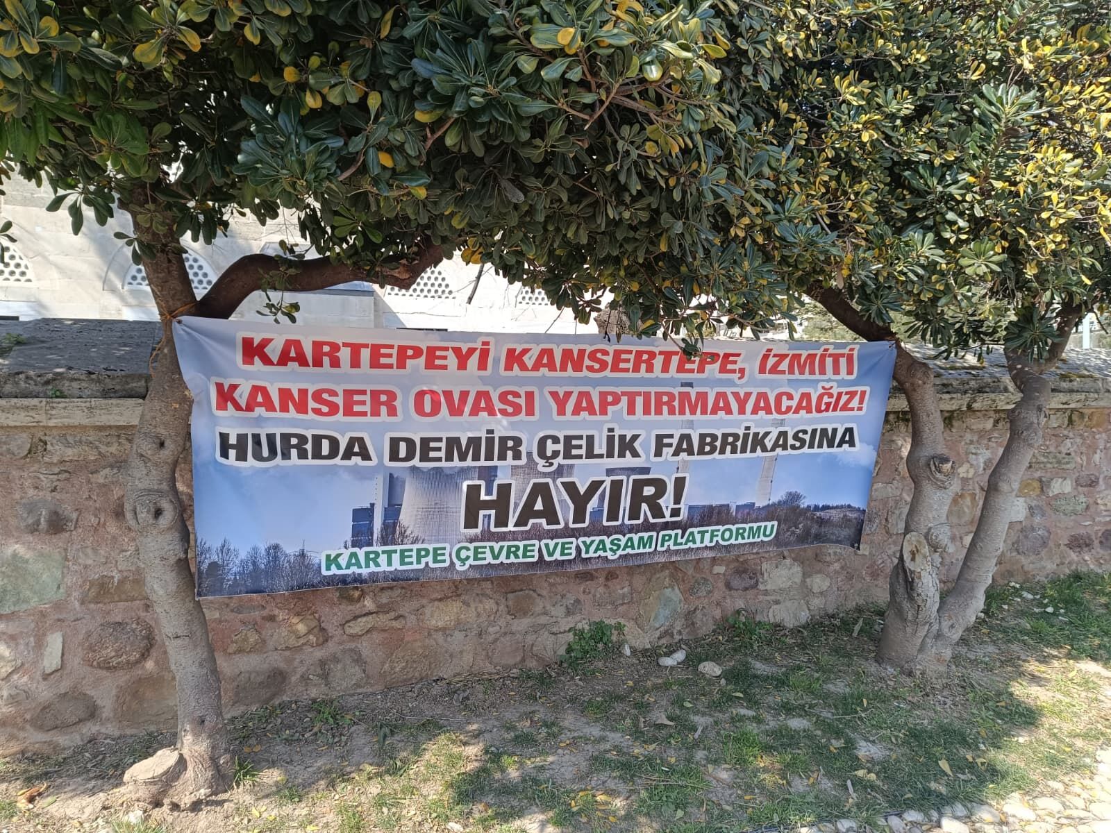 Whatsapp Image 2026 03 14 At 16.45.57 (1)