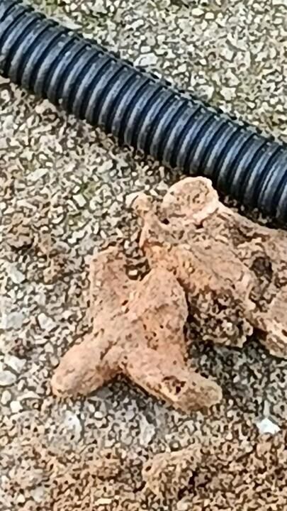 Whatsapp Image 2026 03 14 At 182856