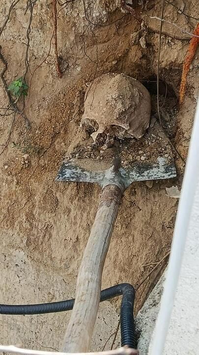 Whatsapp Image 2026 03 14 At 182857