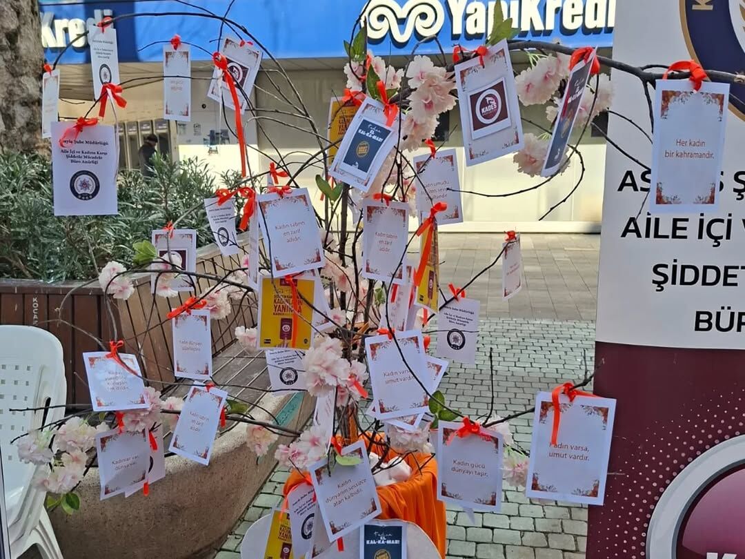 Whatsapp Image 2026 03 15 At 15.31.27 (1)