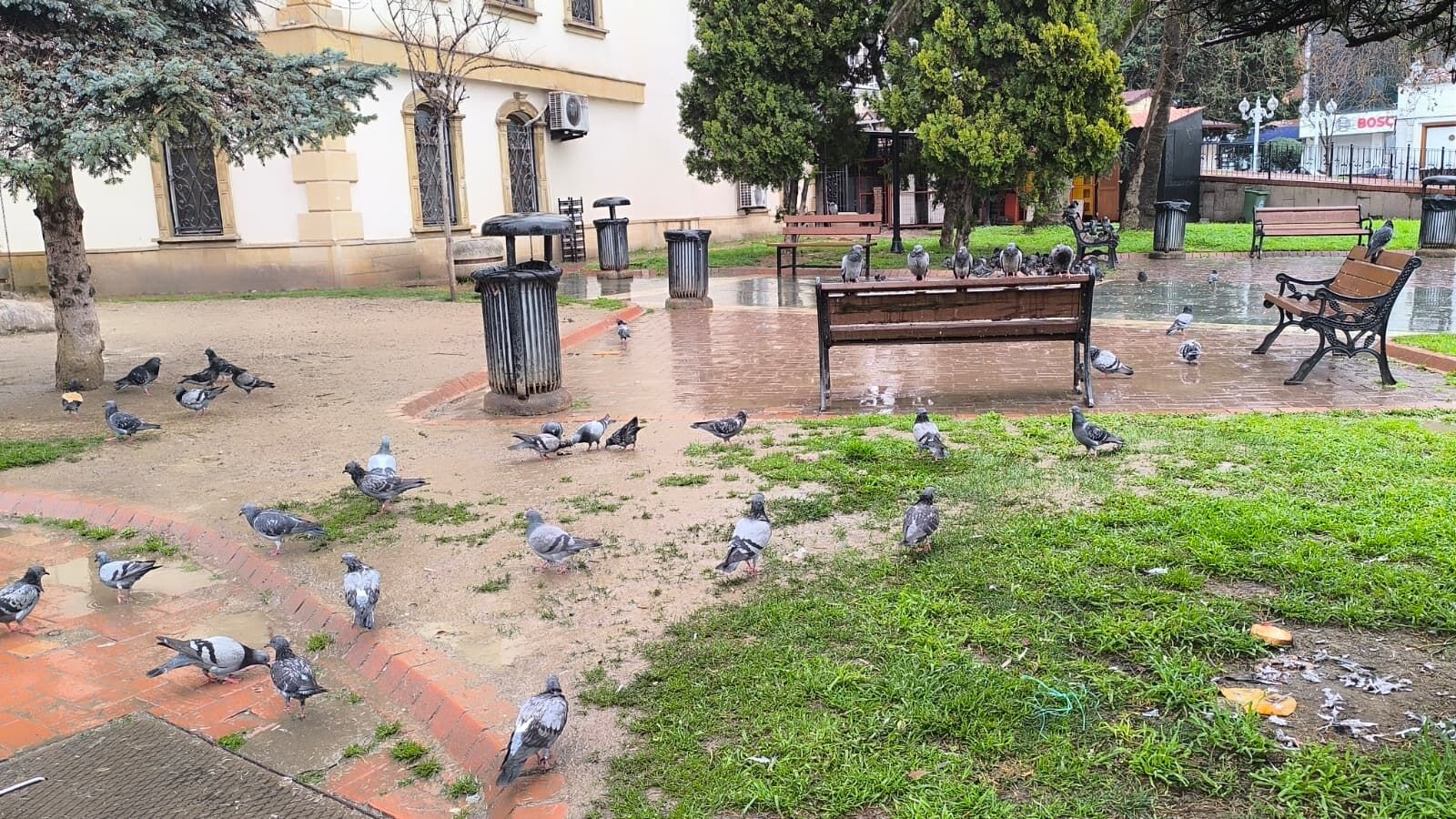 Whatsapp Image 2026 03 21 At 13.29.11 (1)