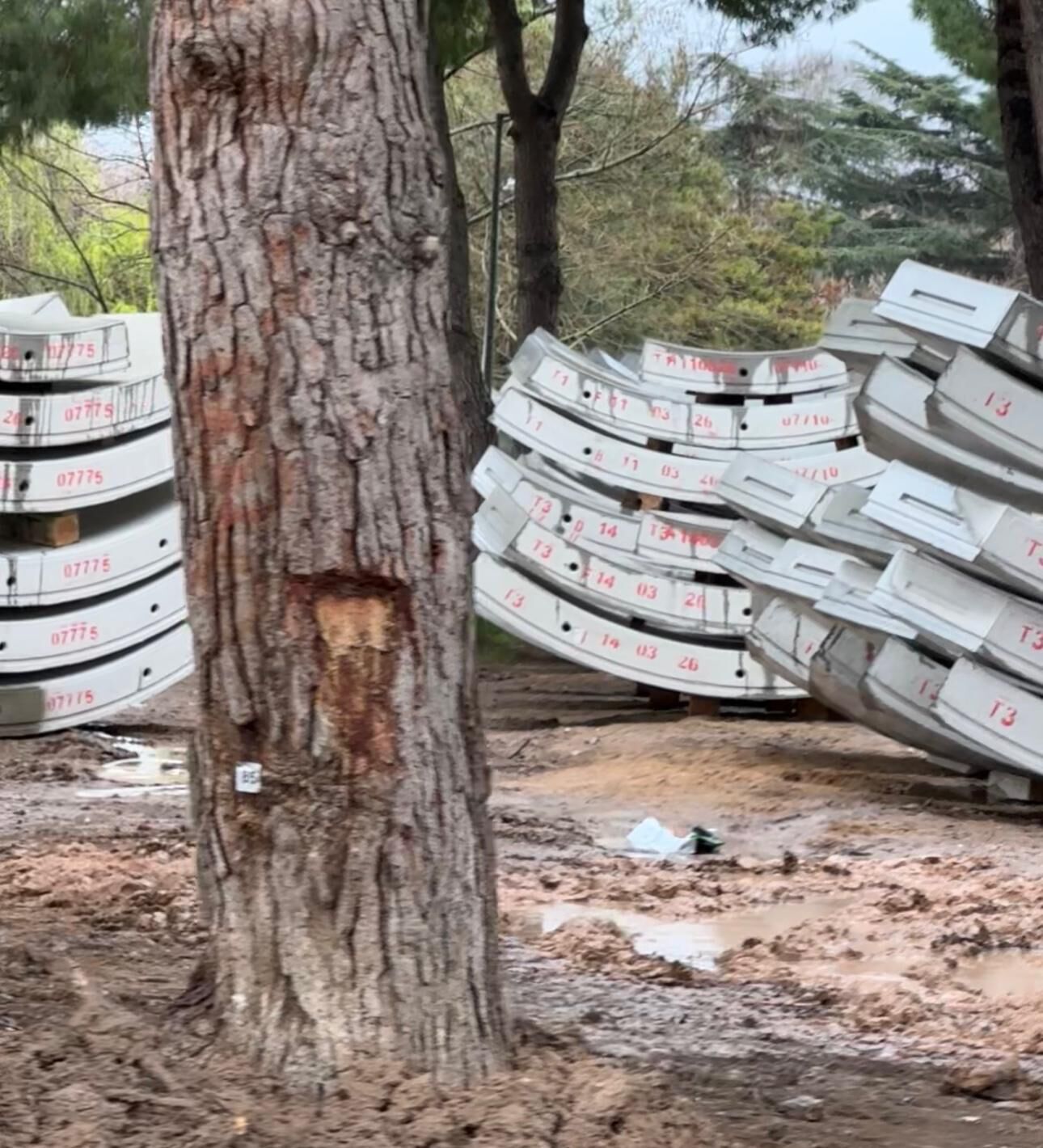 Whatsapp Image 2026 03 22 At 10.39.49 (2)