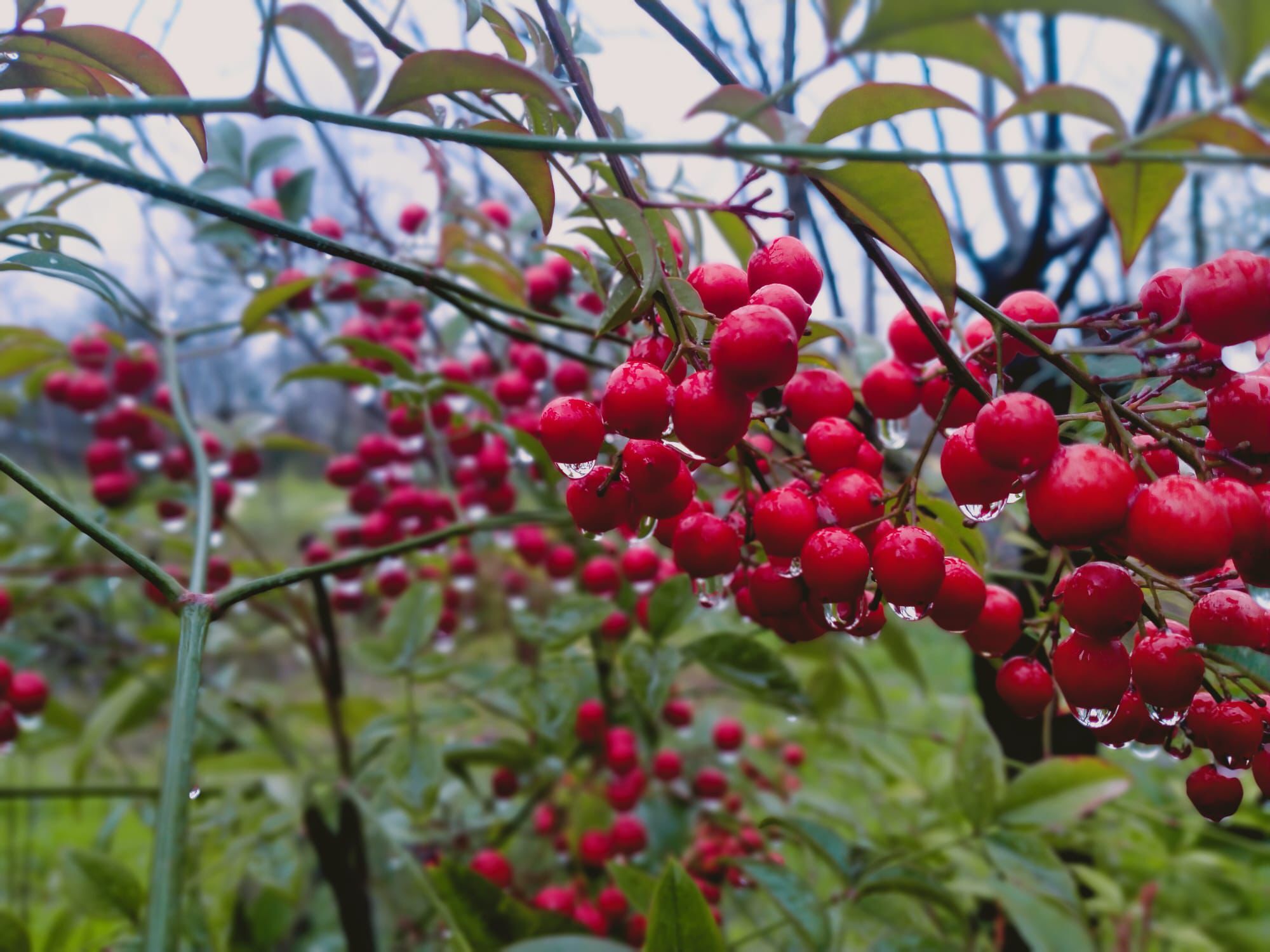 Whatsapp Image 2026 03 22 At 19.38.00 (4)