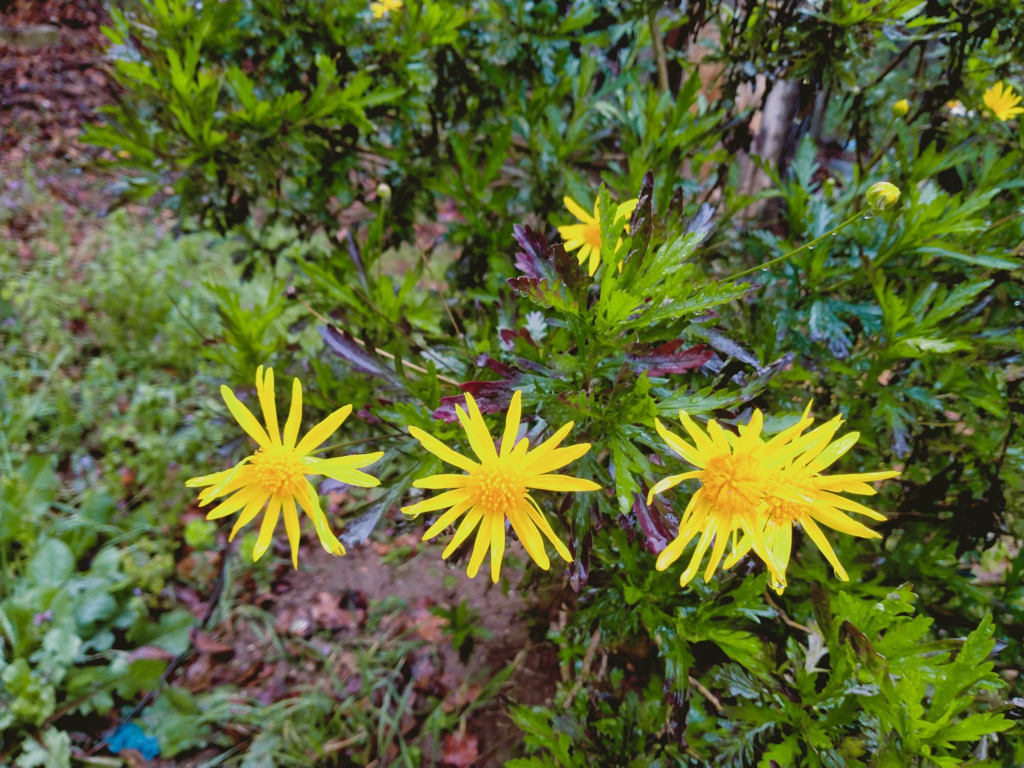 Whatsapp Image 2026 03 22 At 19.38.01 (1)