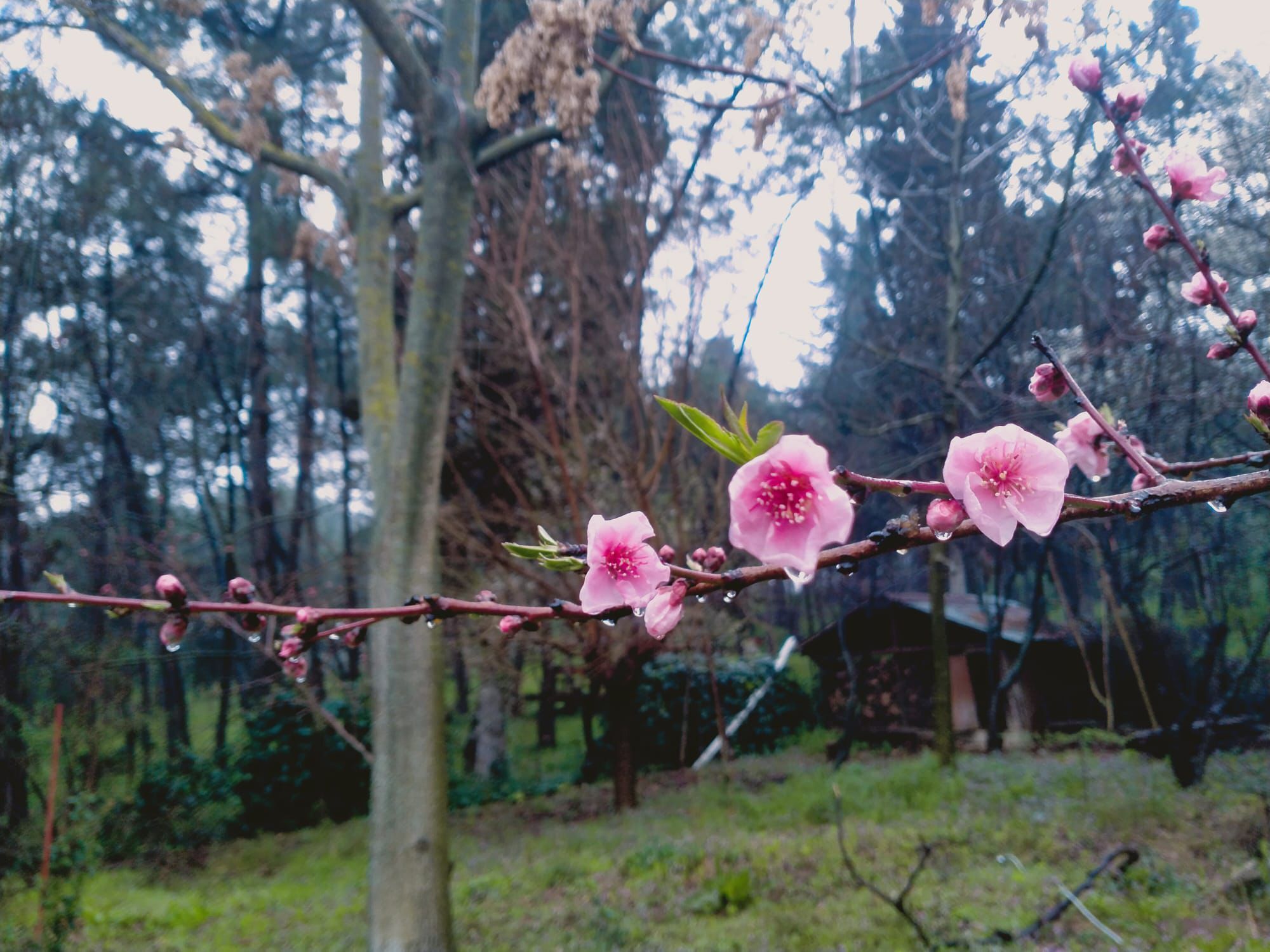 Whatsapp Image 2026 03 22 At 19.38.01 (2)