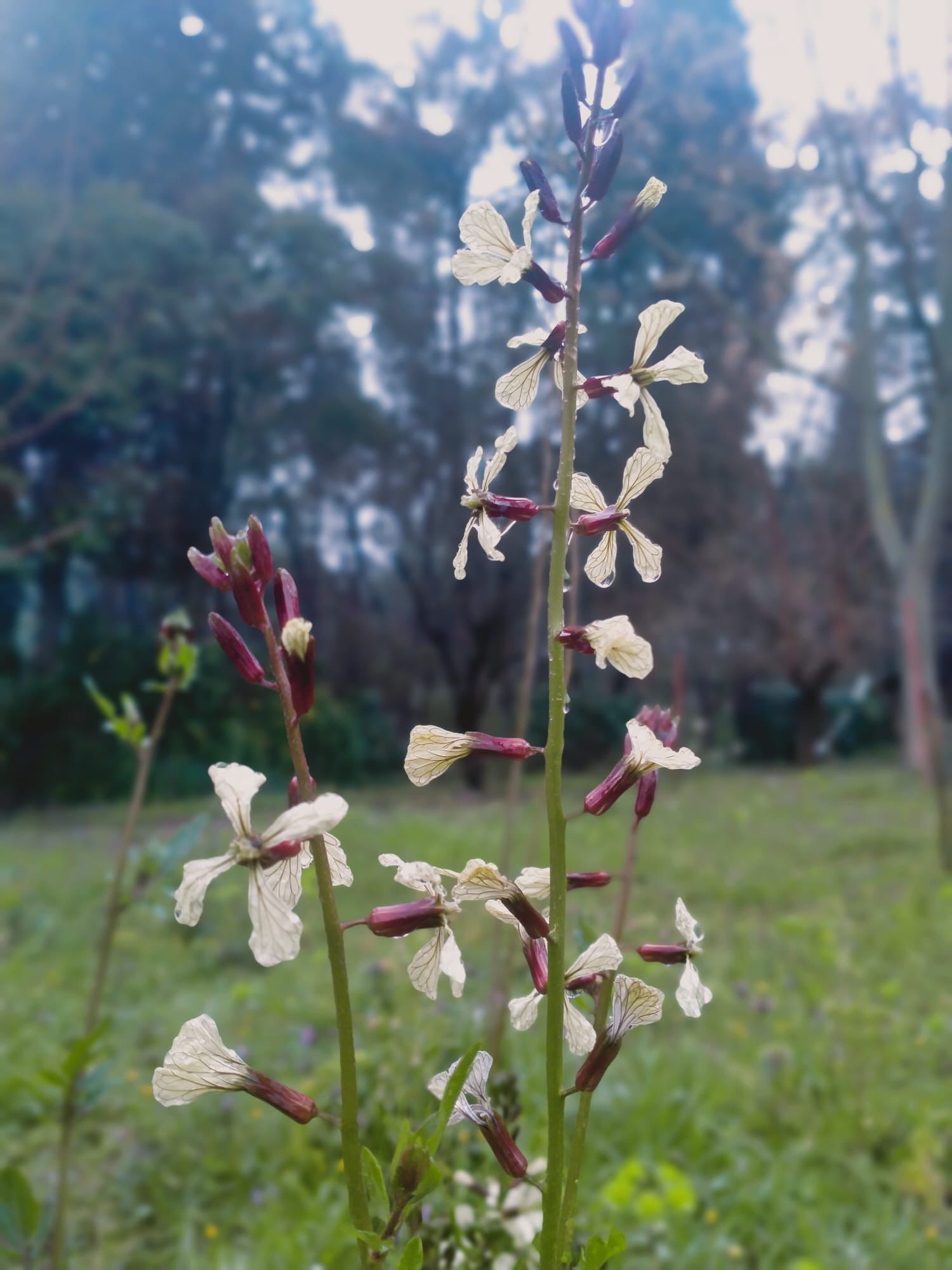 Whatsapp Image 2026 03 22 At 19.38.01 (3)