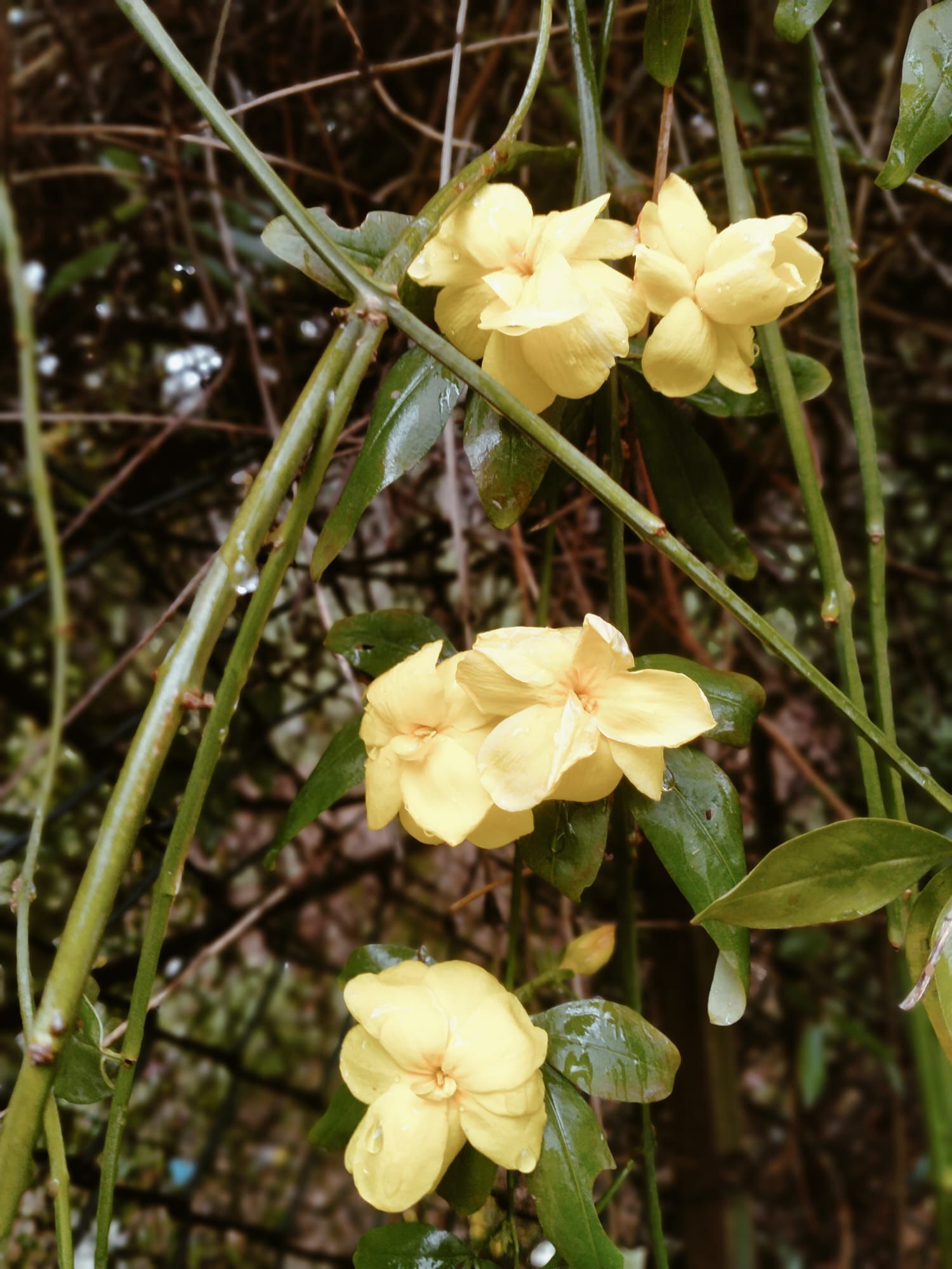 Whatsapp Image 2026 03 22 At 19.38.01 (4)