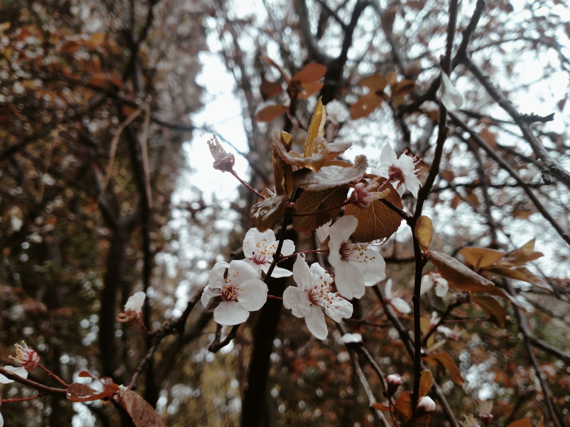 Whatsapp Image 2026 03 22 At 19.38.02