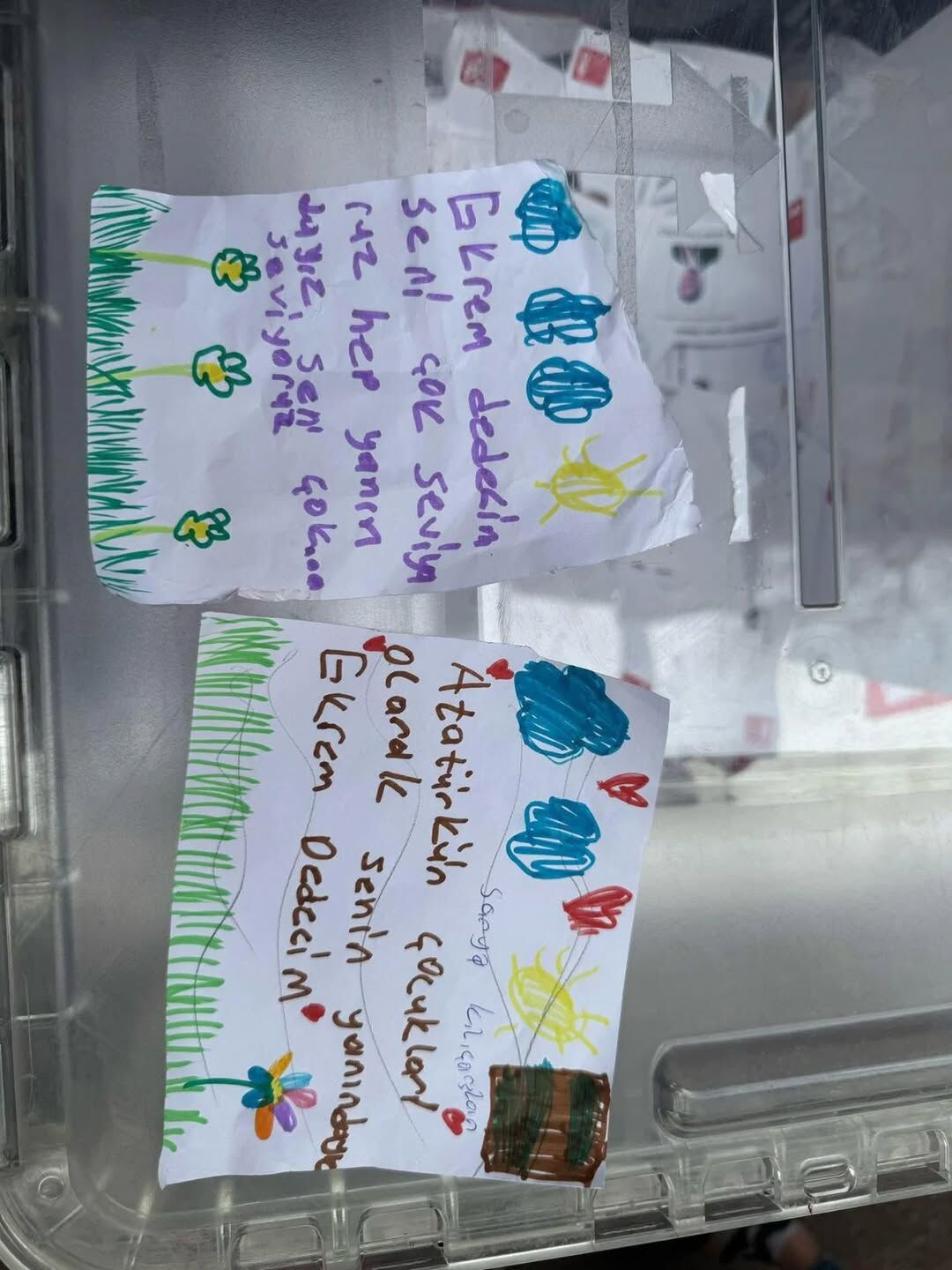 Whatsapp Image 2026 03 23 At 17.46.50