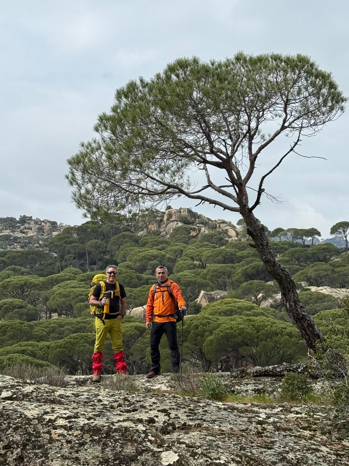 Whatsapp Image 2026 03 25 At 11.48.03 (1)