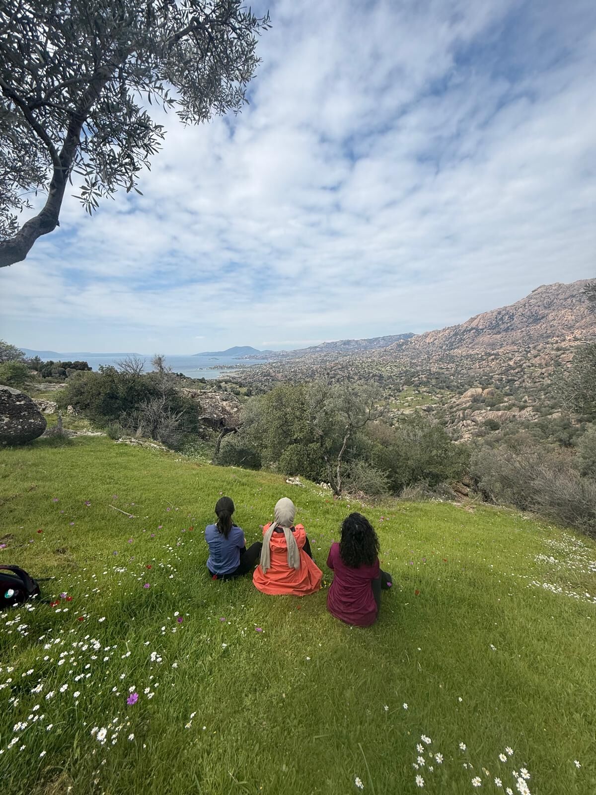 Whatsapp Image 2026 03 25 At 11.48.03 (3)