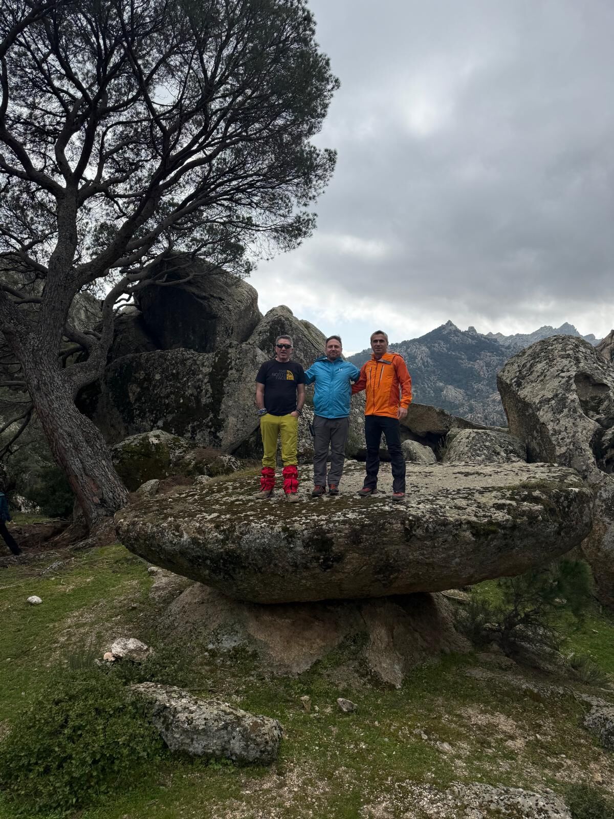 Whatsapp Image 2026 03 25 At 11.48.03