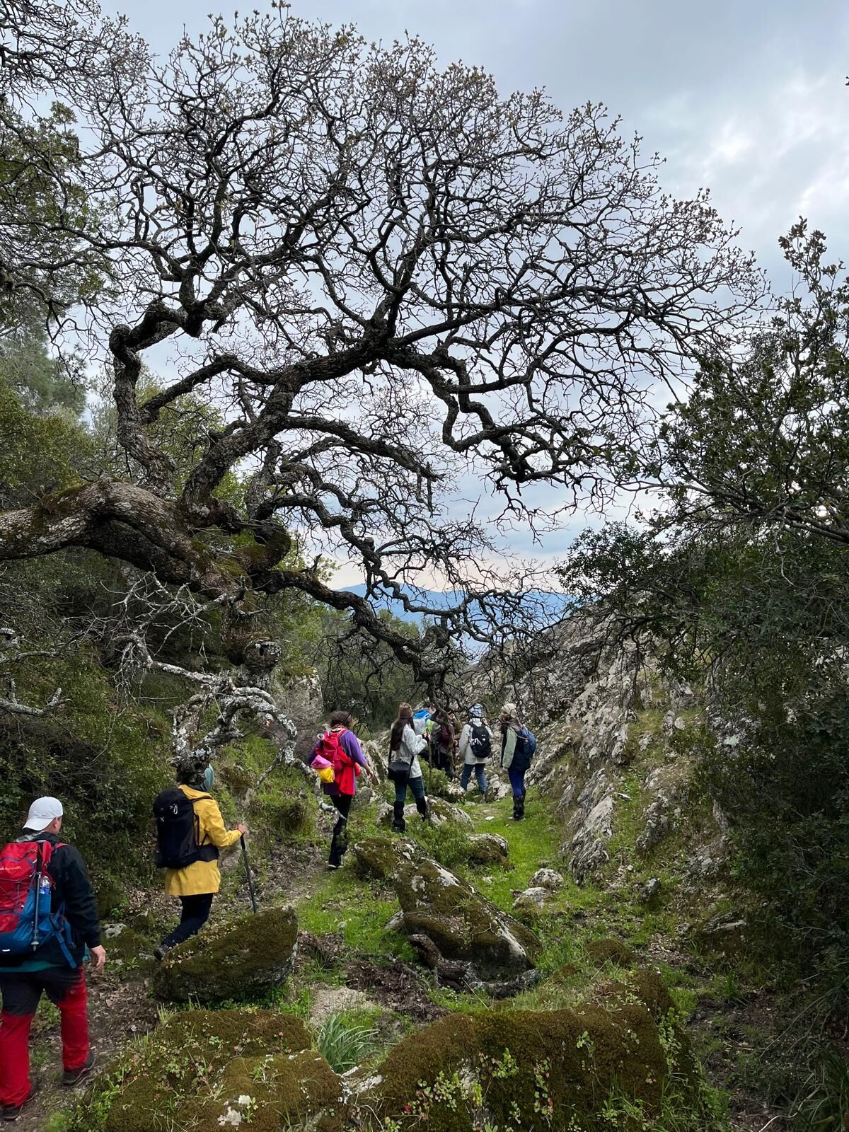 Whatsapp Image 2026 03 25 At 11.48.05