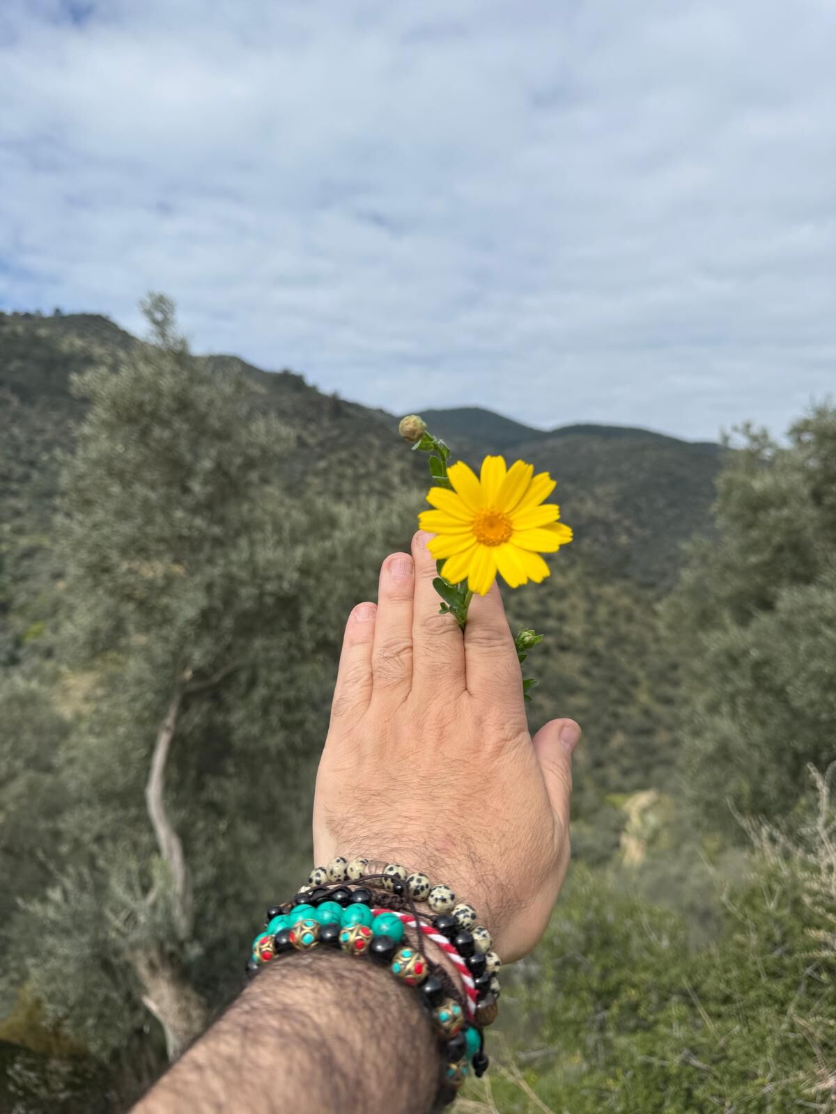 Whatsapp Image 2026 03 25 At 11.48.06 (1)