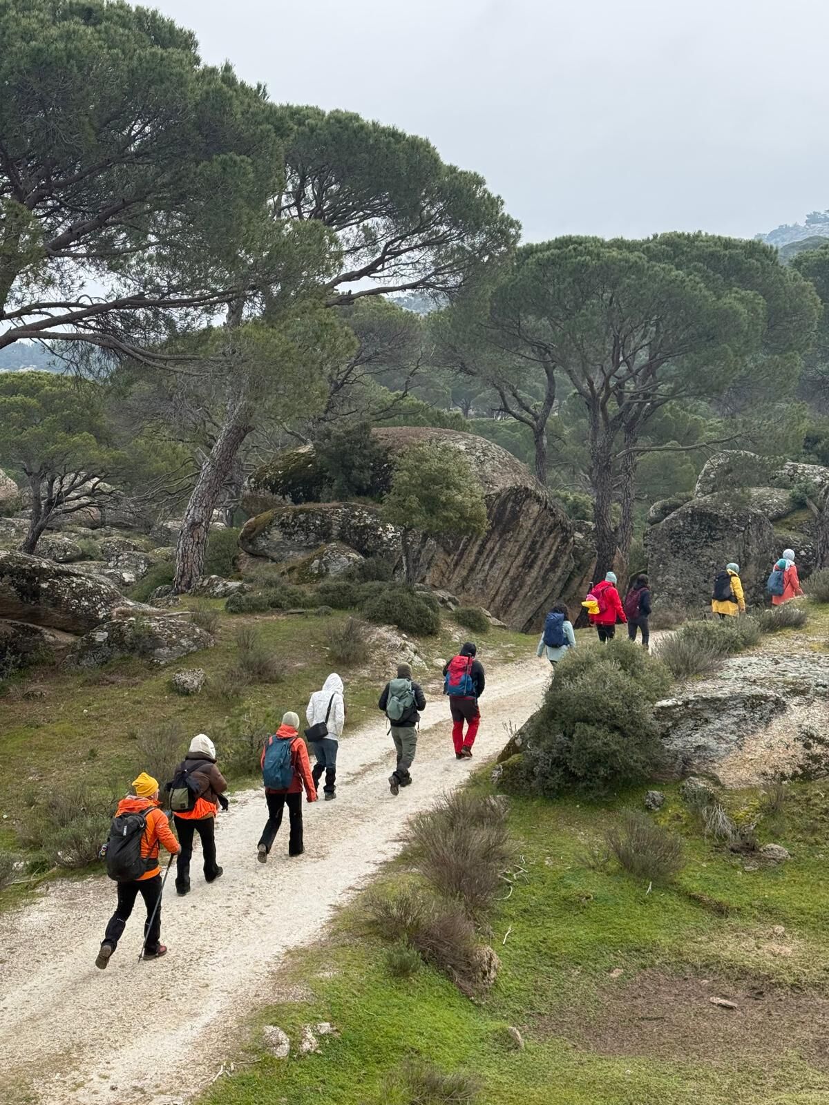 Whatsapp Image 2026 03 25 At 11.48.07 (2)