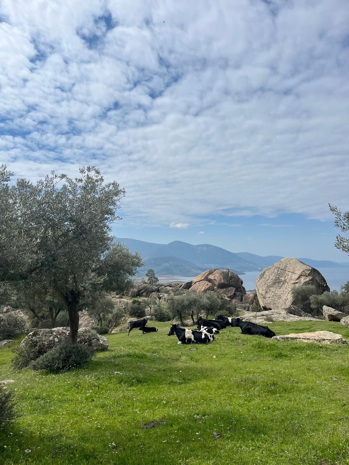 Whatsapp Image 2026 03 25 At 11.48.07 (4)