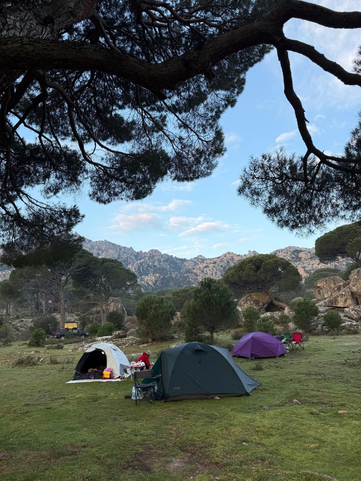 Whatsapp Image 2026 03 25 At 11.48.08