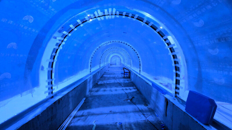 Whatsapp Image 2026 03 25 At 12.43.37 (1)