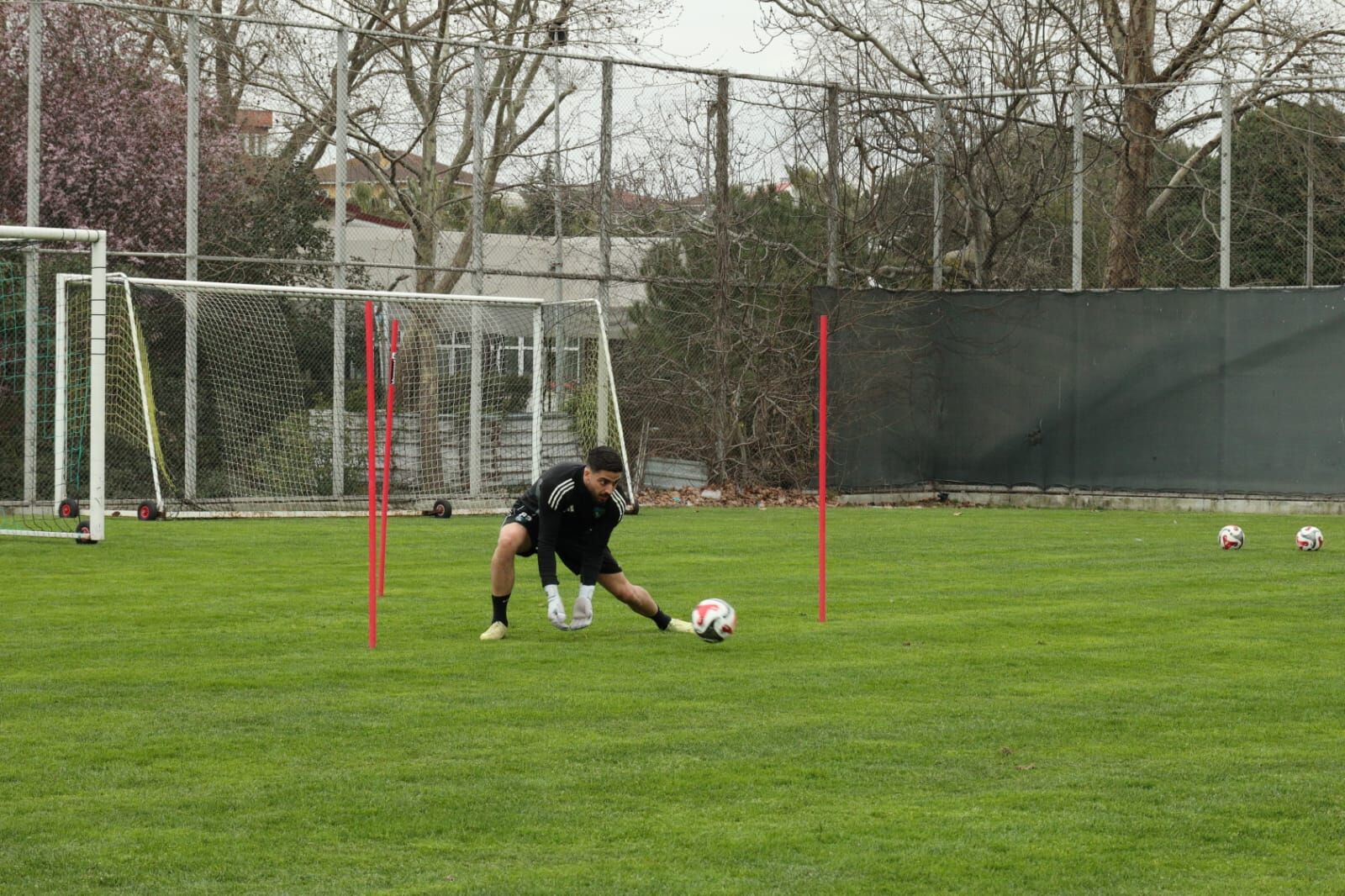 Whatsapp Image 2026 03 25 At 18.17.12 (3)