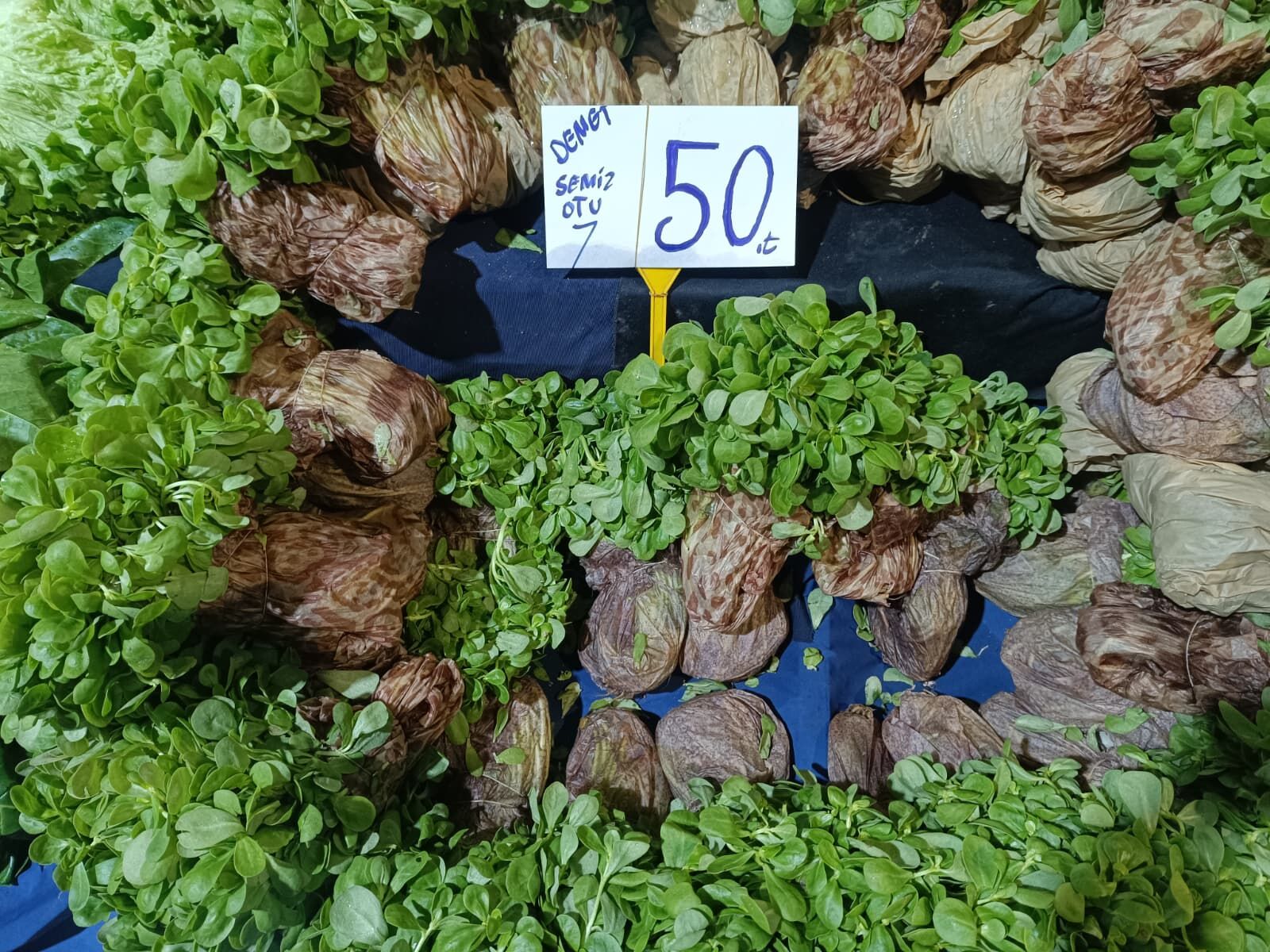 Whatsapp Image 2026 03 28 At 12.07.57 (1)