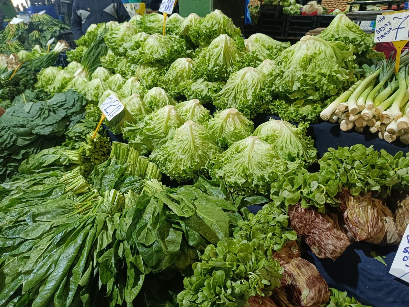 Whatsapp Image 2026 03 28 At 12.07.57