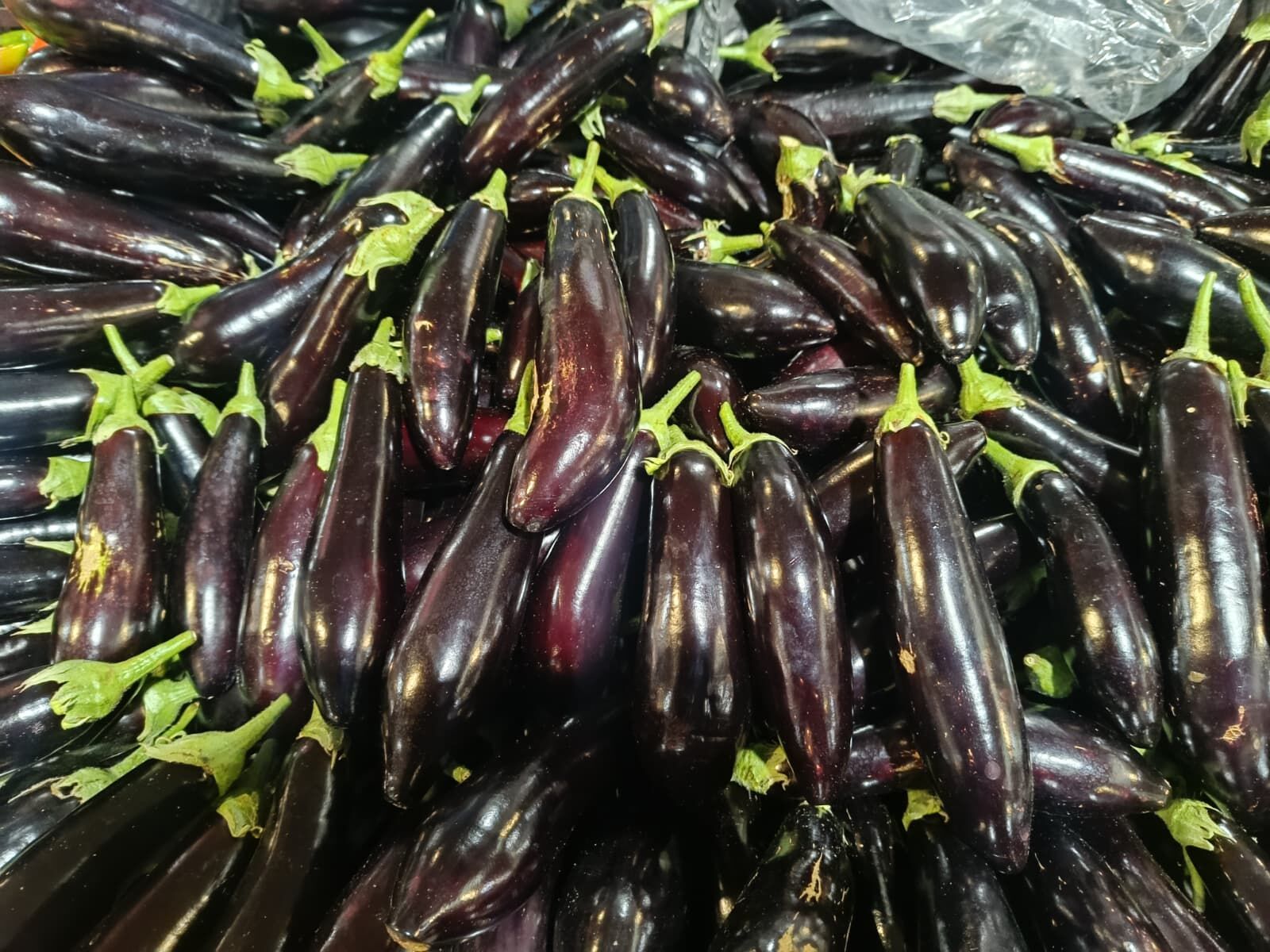 Whatsapp Image 2026 03 28 At 12.07.58 (1)