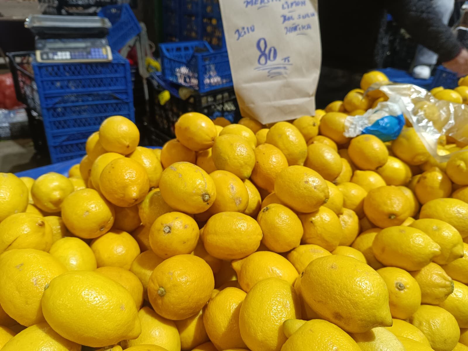 Whatsapp Image 2026 03 28 At 12.08.01