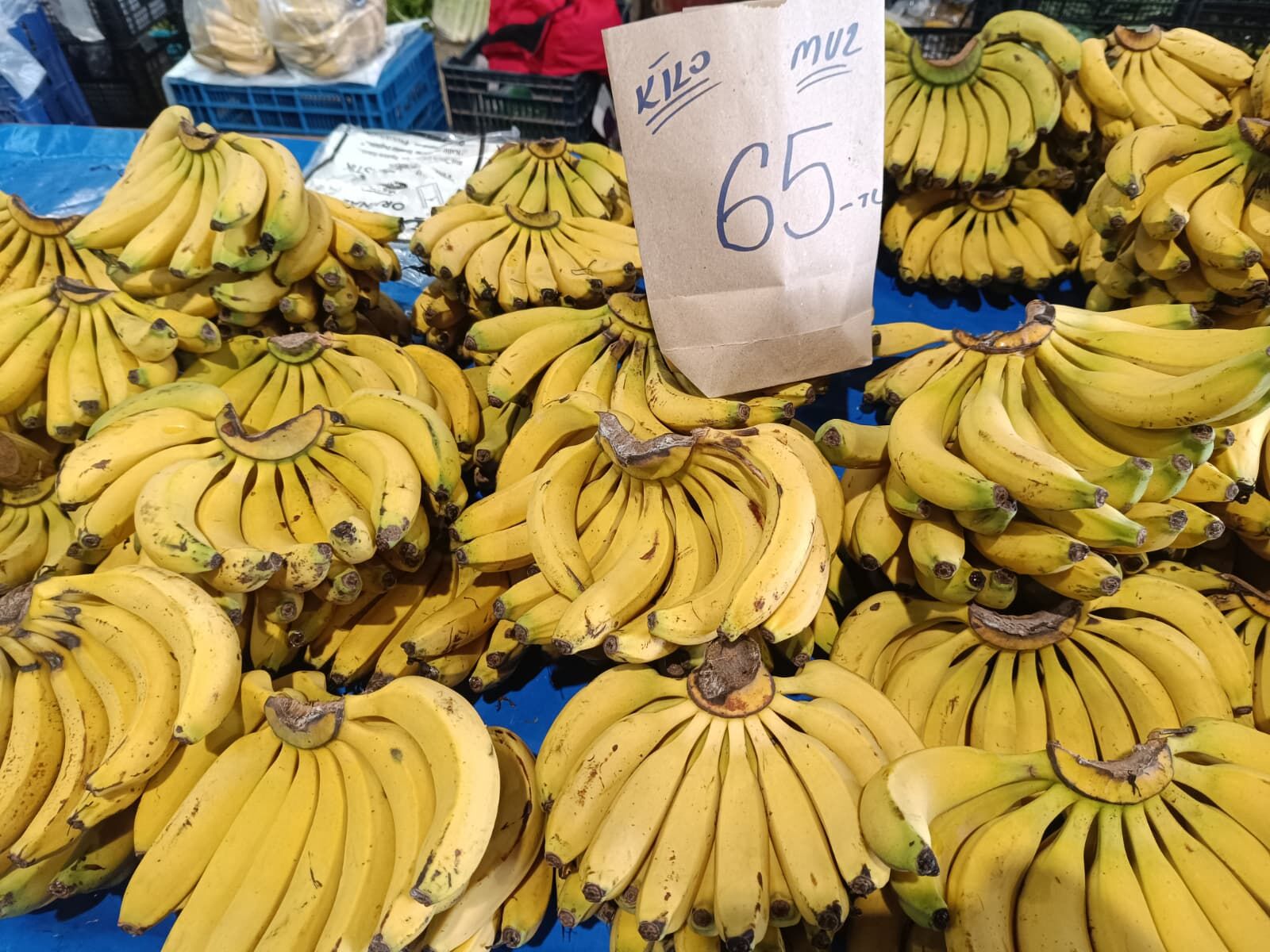 Whatsapp Image 2026 03 28 At 12.08.07 (1)