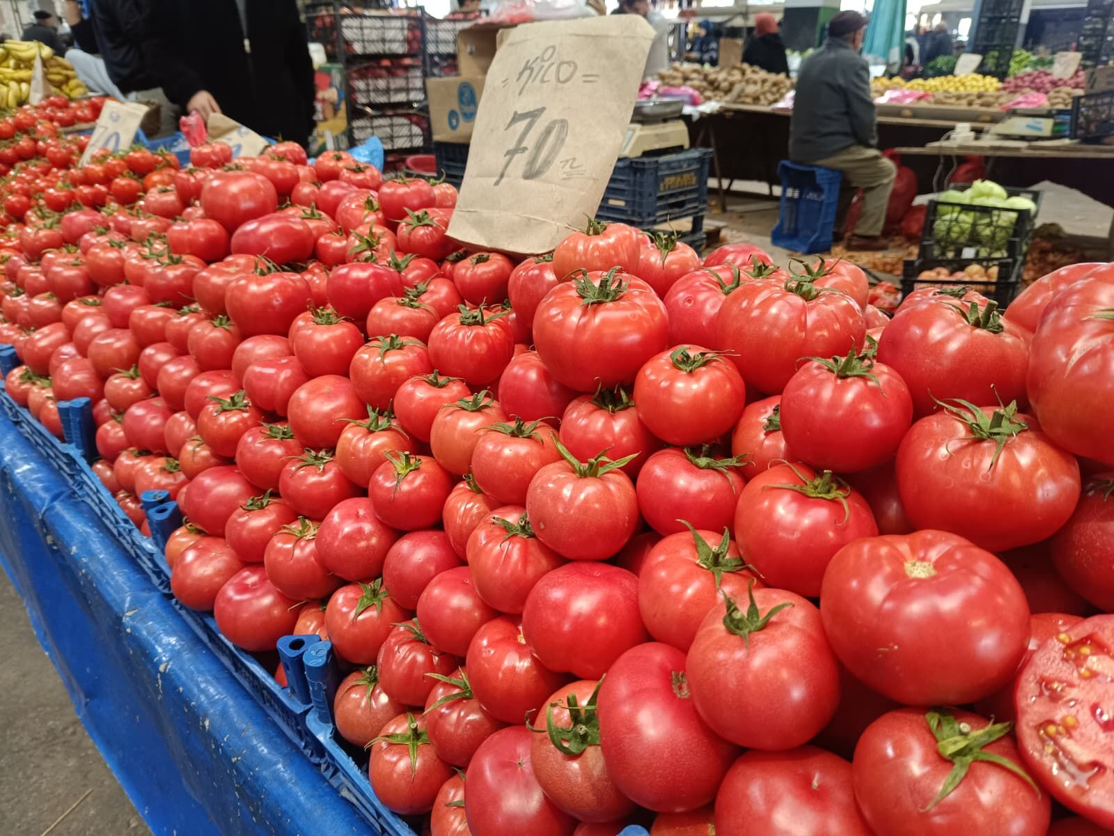 Whatsapp Image 2026 03 28 At 12.08.07