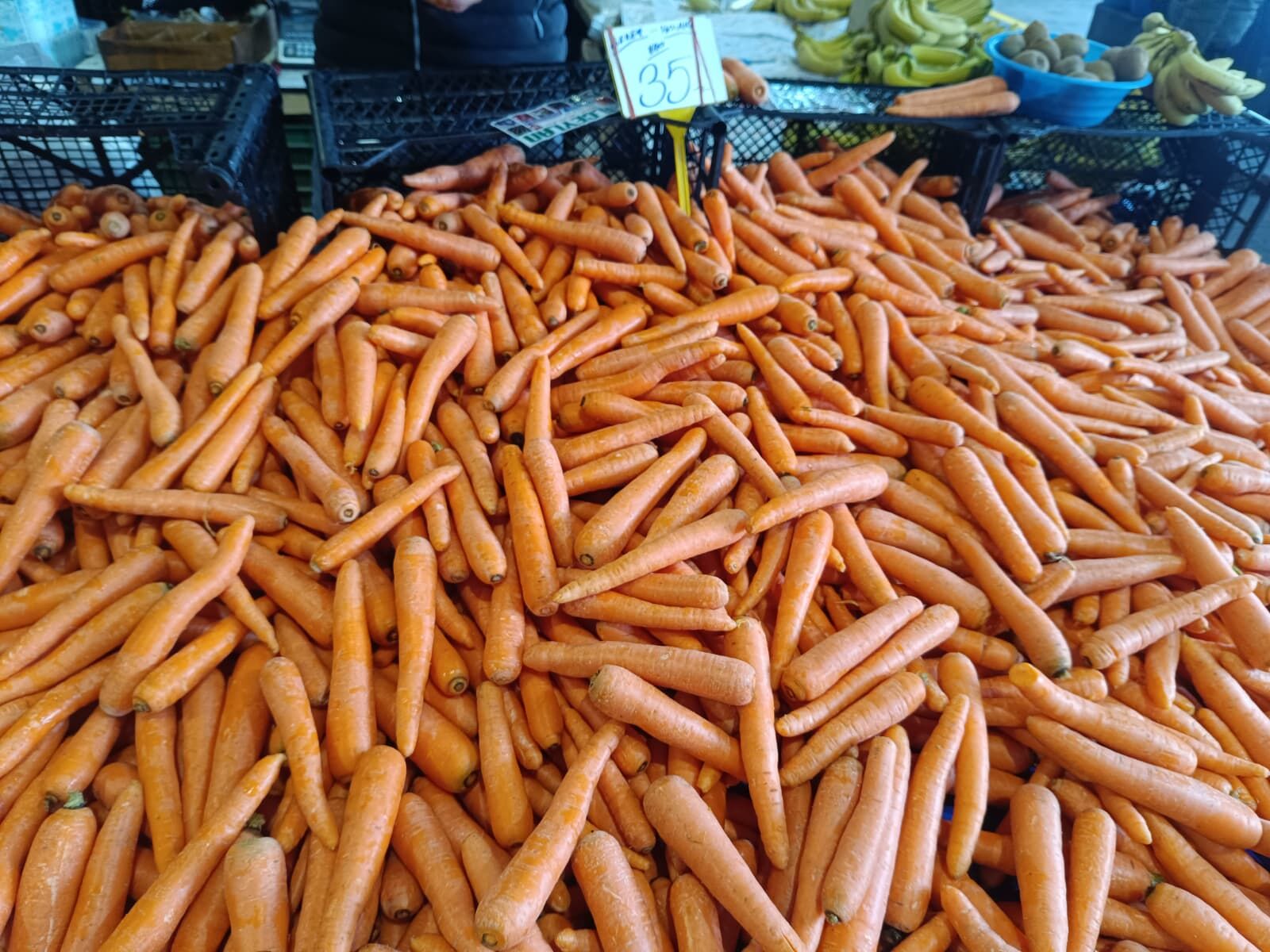 Whatsapp Image 2026 03 28 At 12.08.08