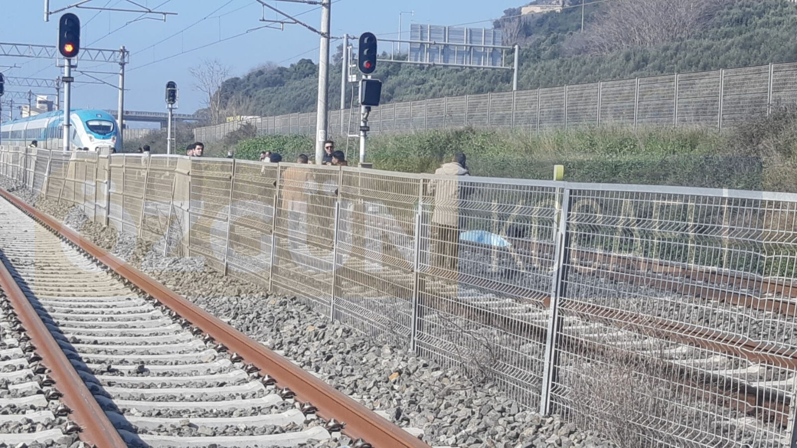 Znknws 2026 03 04T125501.019